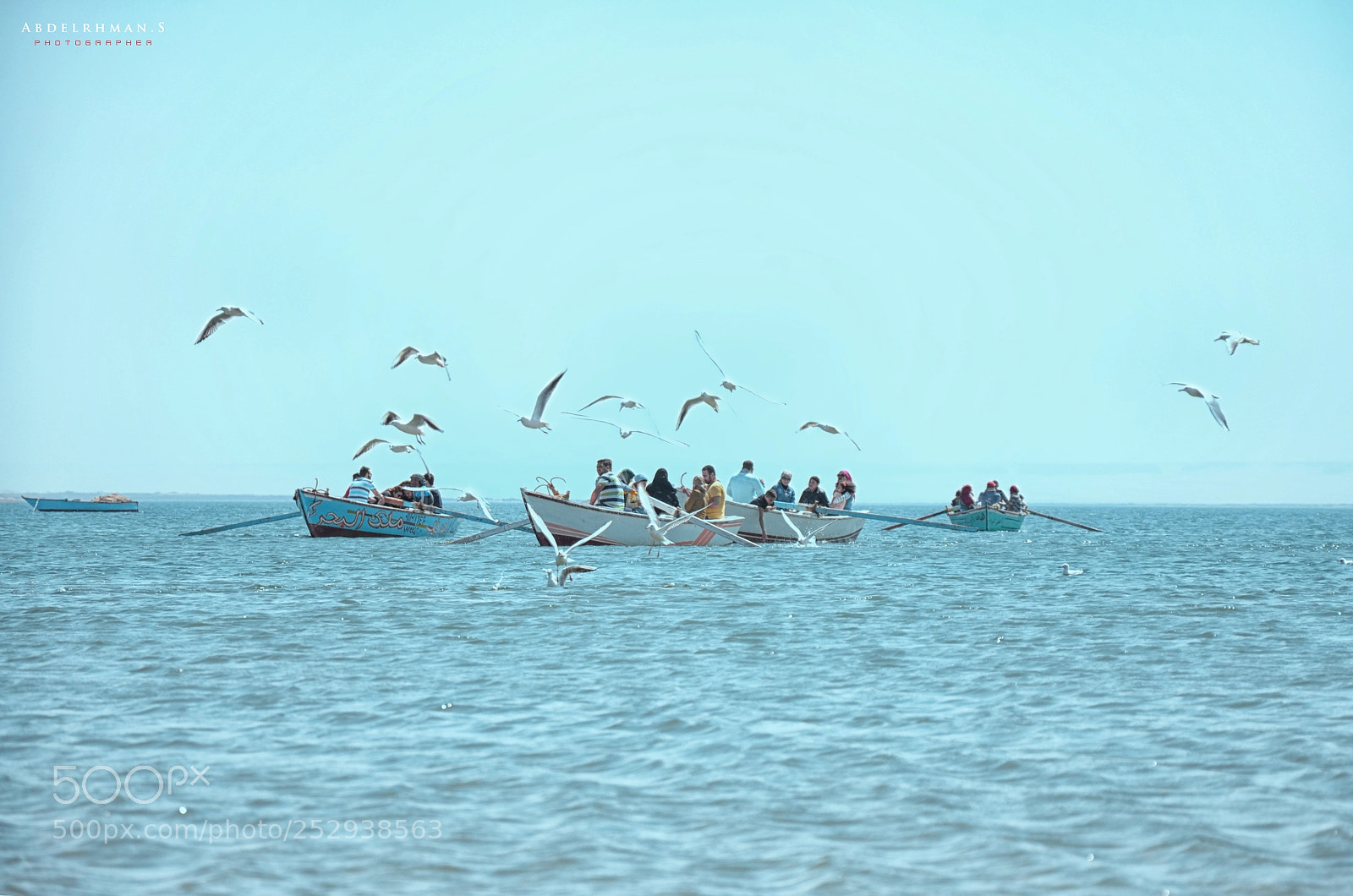 Nikon D7000 sample photo. El fayoum photography