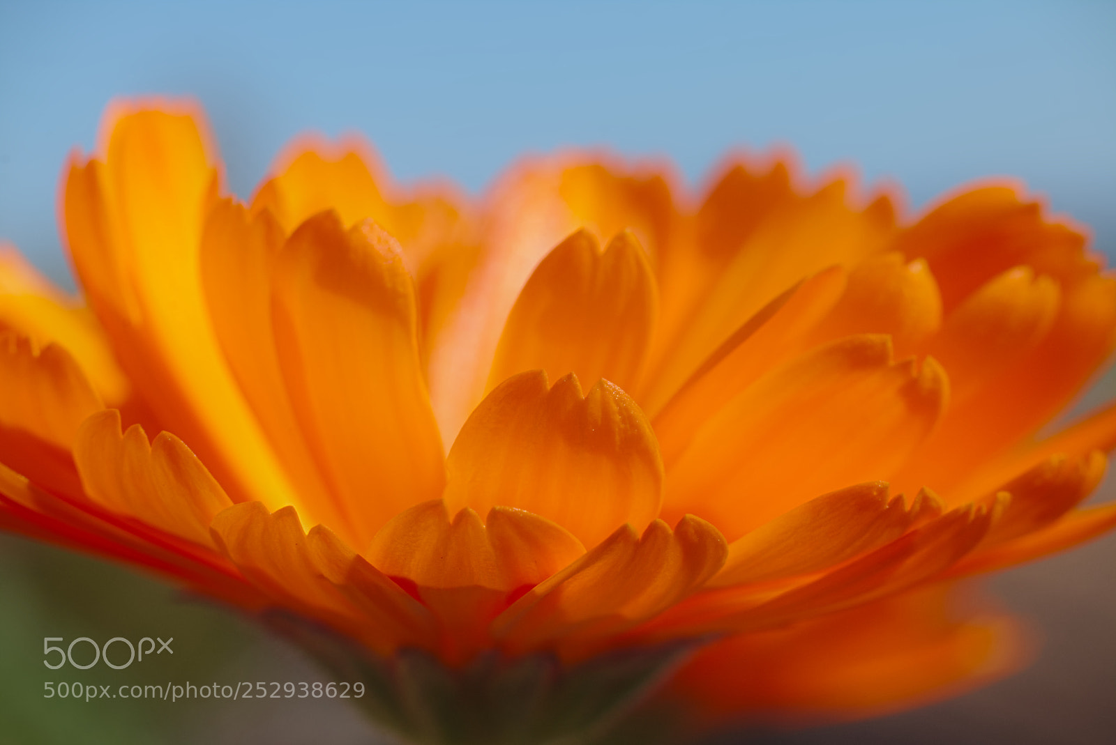 Canon EOS 70D + Canon EF 50mm F1.8 STM sample photo. Il mondo fatto di photography