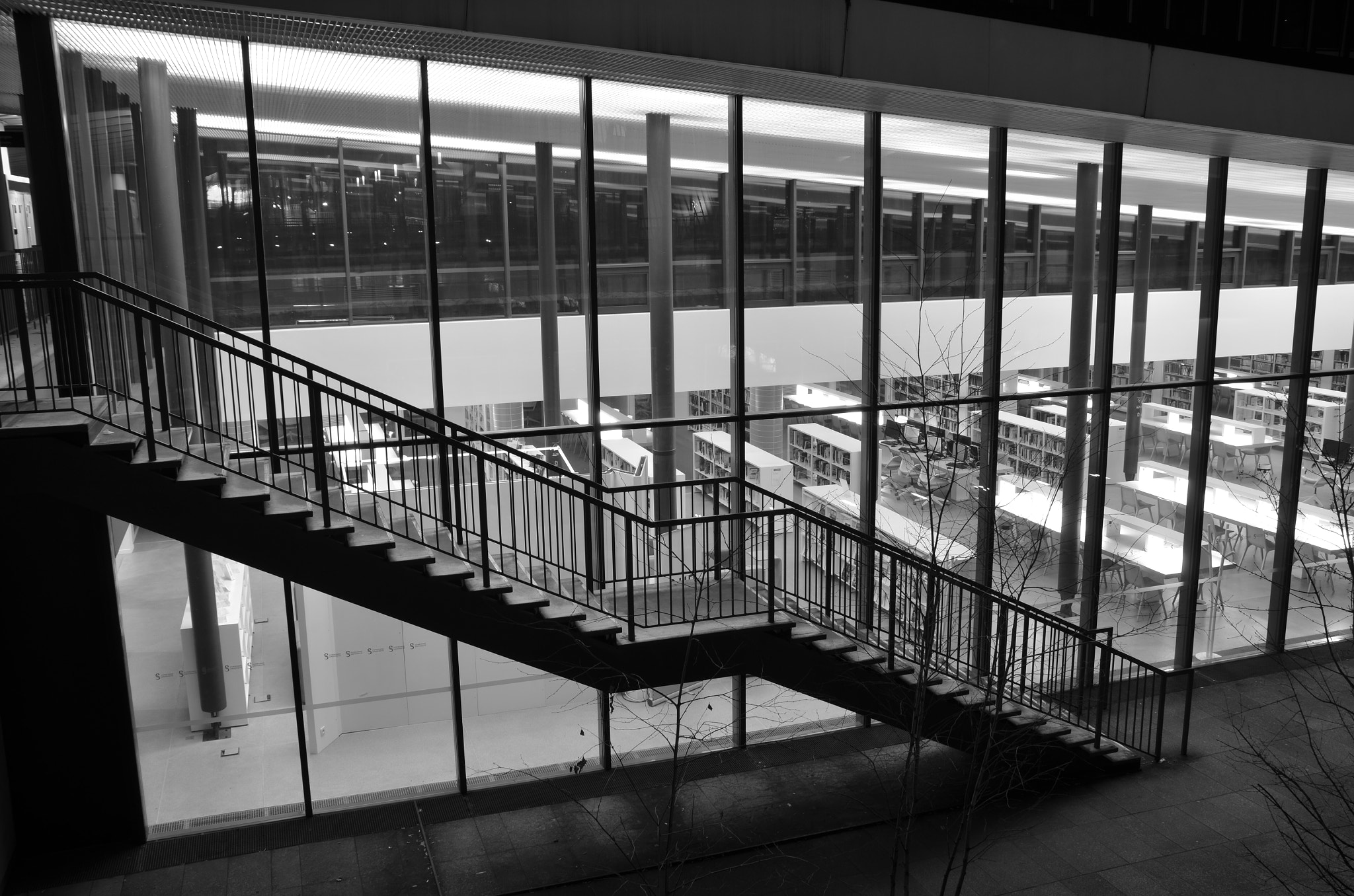 Nikon D7000 sample photo. Jussieu university photography