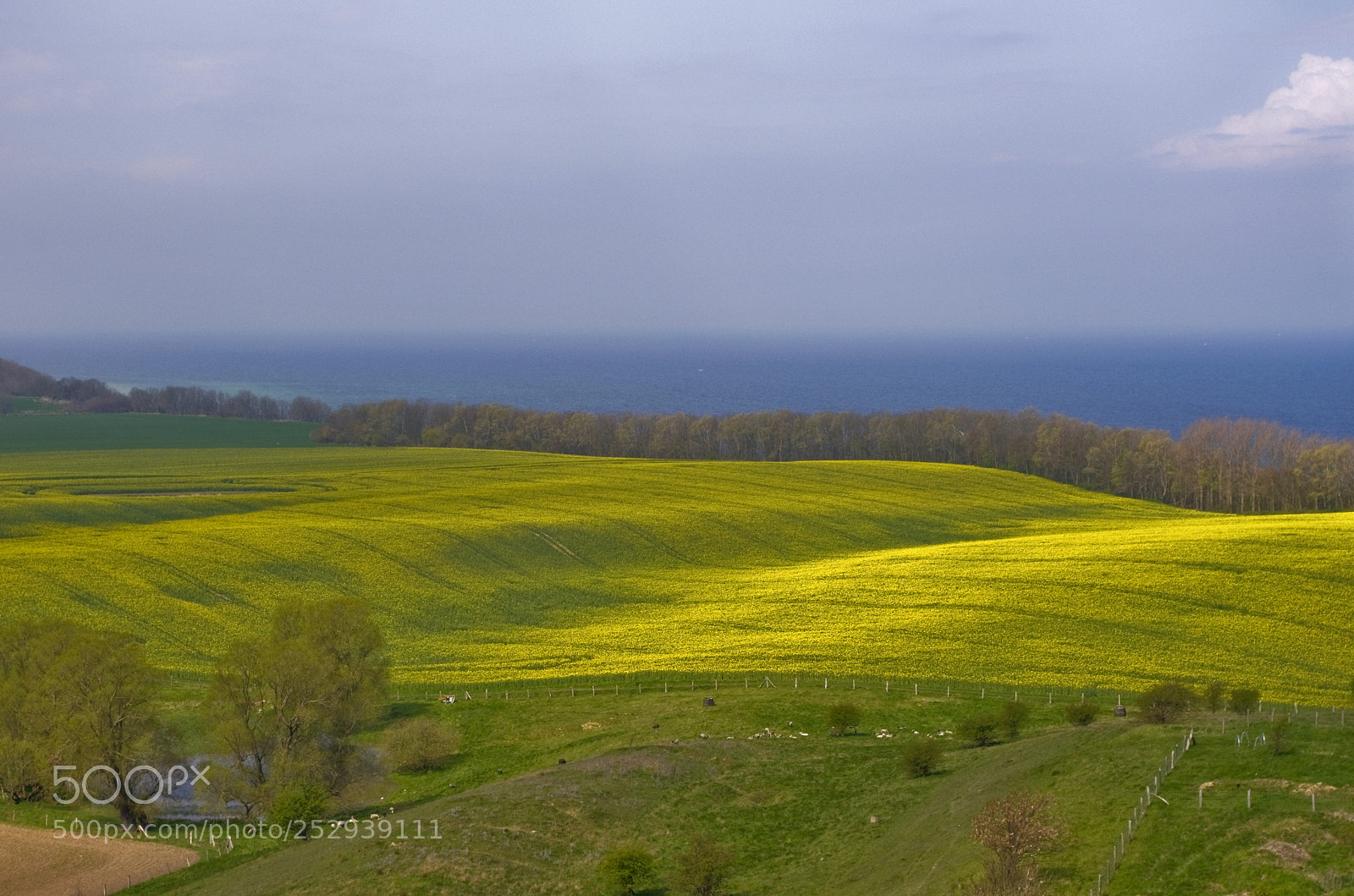 Pentax K-5 sample photo. View from the lighthouse photography