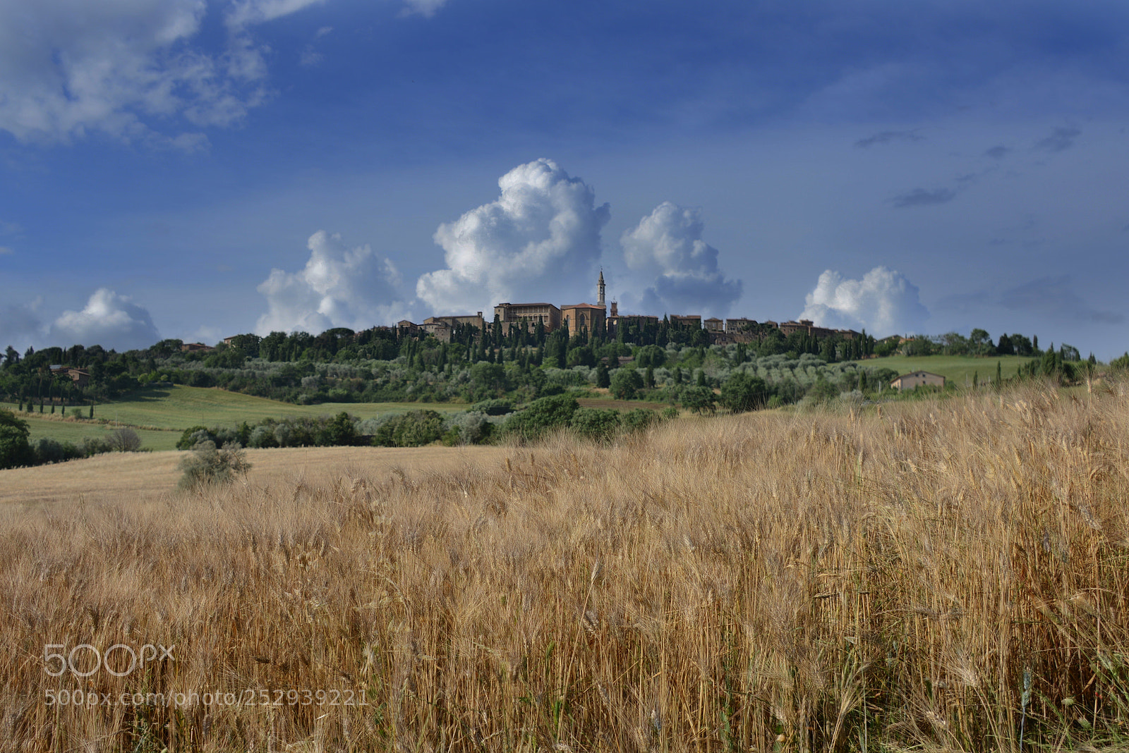 Nikon D800 sample photo. Pienza in tuscany, italy photography