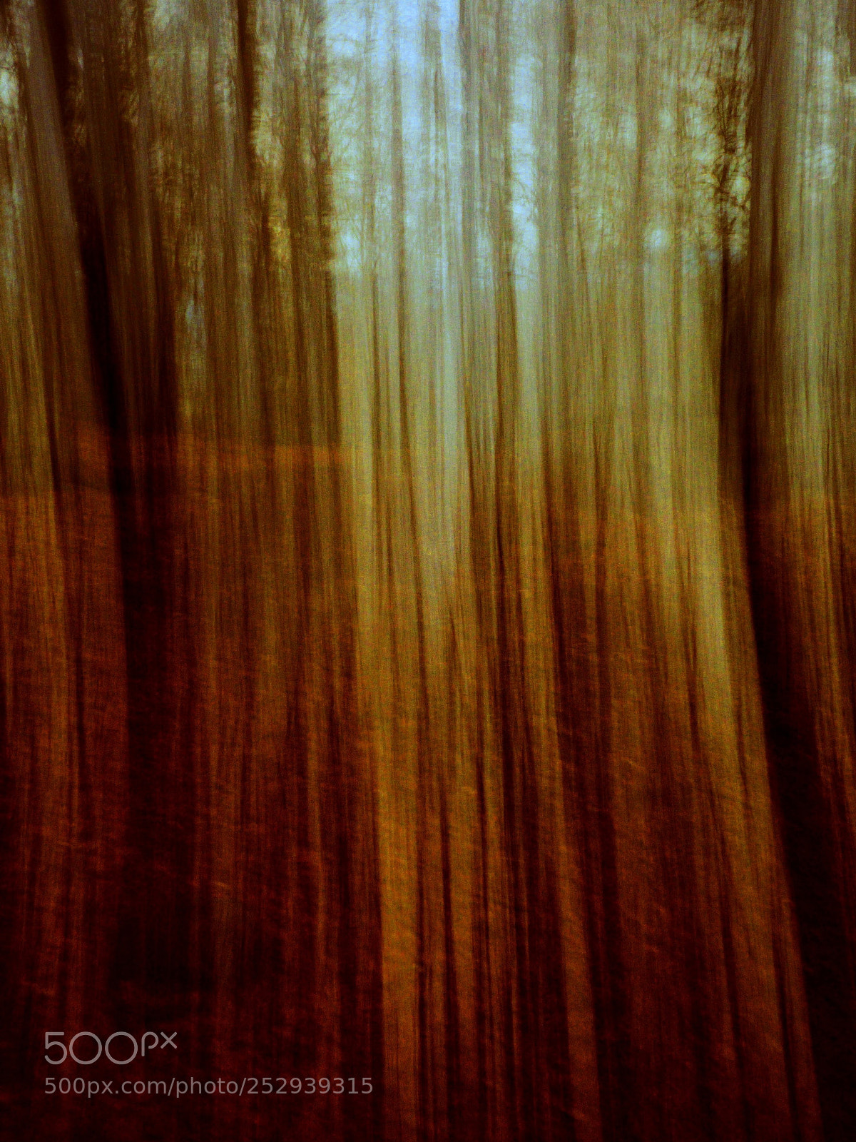 Panasonic Lumix DMC-FZ200 sample photo. Fageda photography