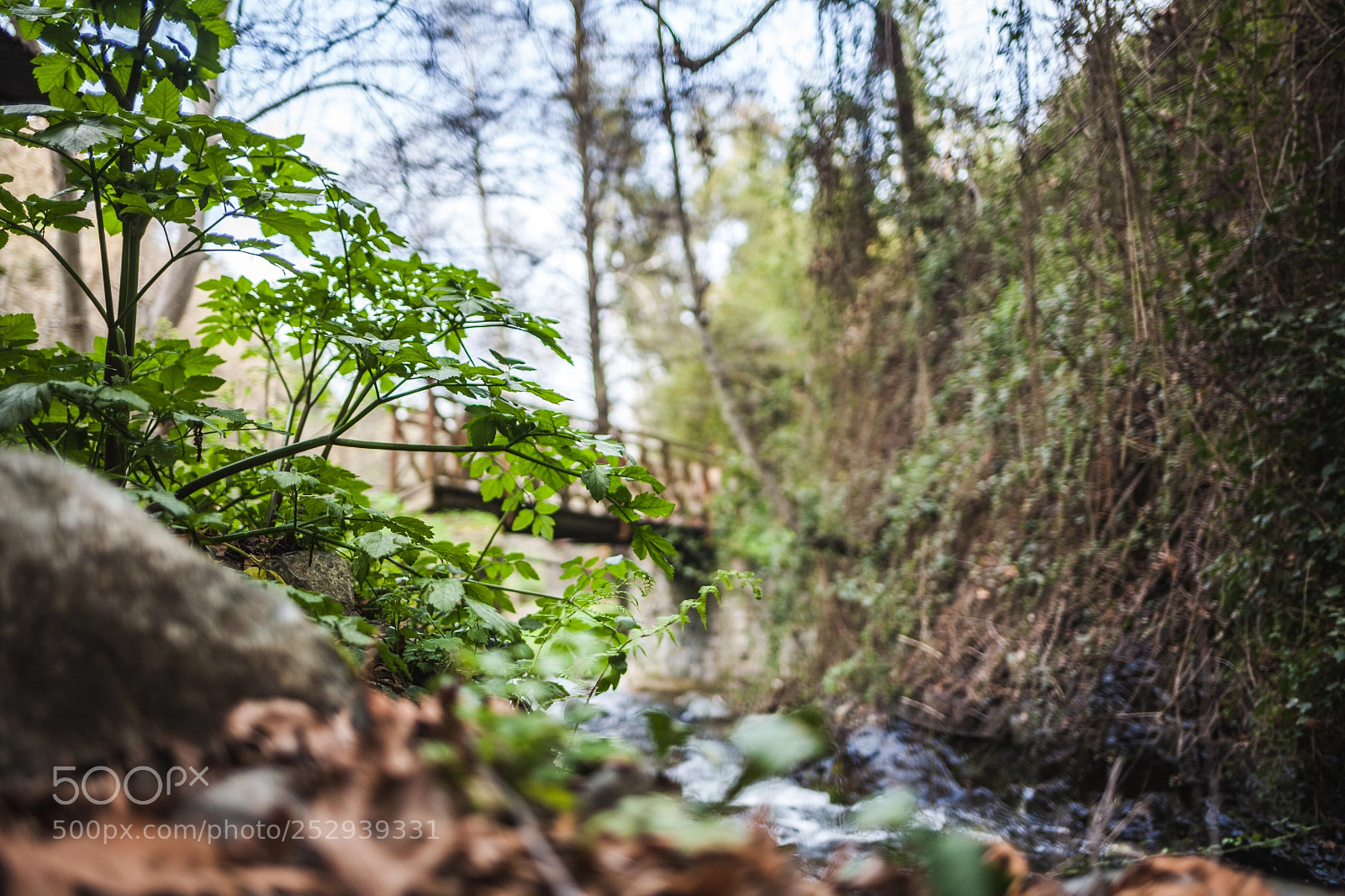 Canon EOS 5D Mark II sample photo. Venetian bridge, kalopanagiotis photography
