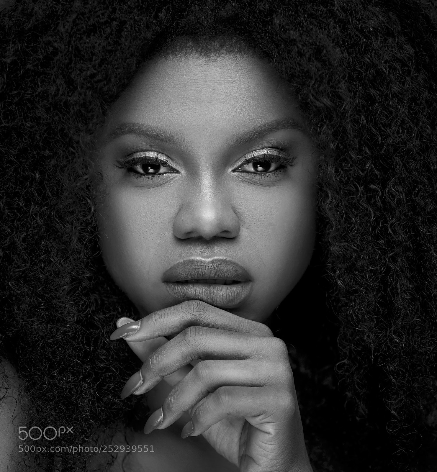 Canon EOS 5D Mark IV sample photo. She wolf photography