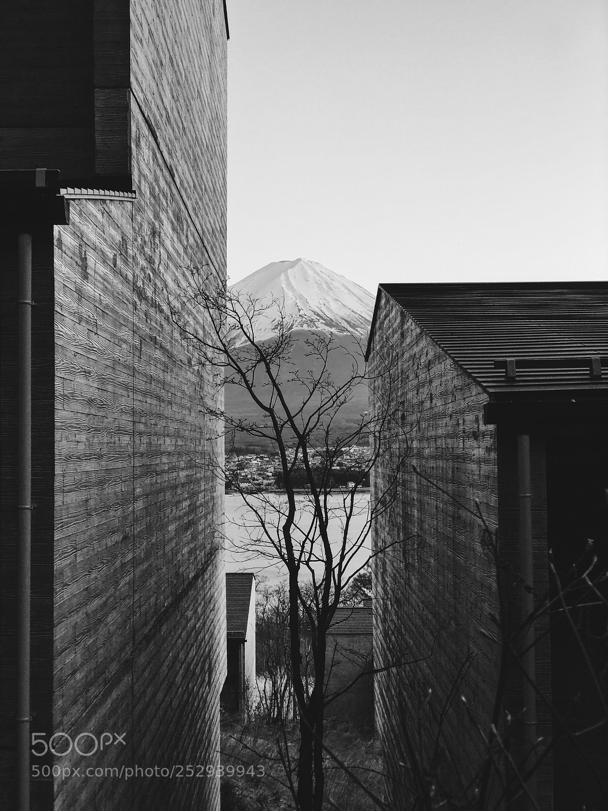 Apple iPhone X sample photo. Untitled photography