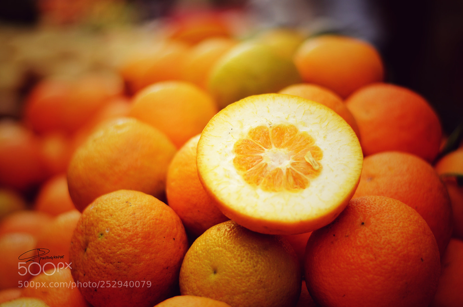 Nikon D5100 sample photo. Untitled photography