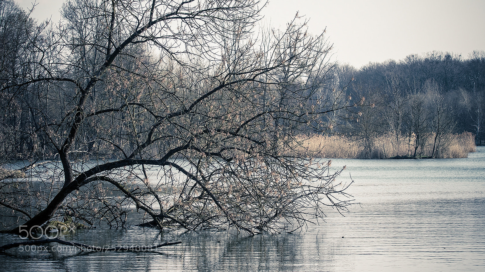 Canon EOS 7D Mark II sample photo. Spring photography