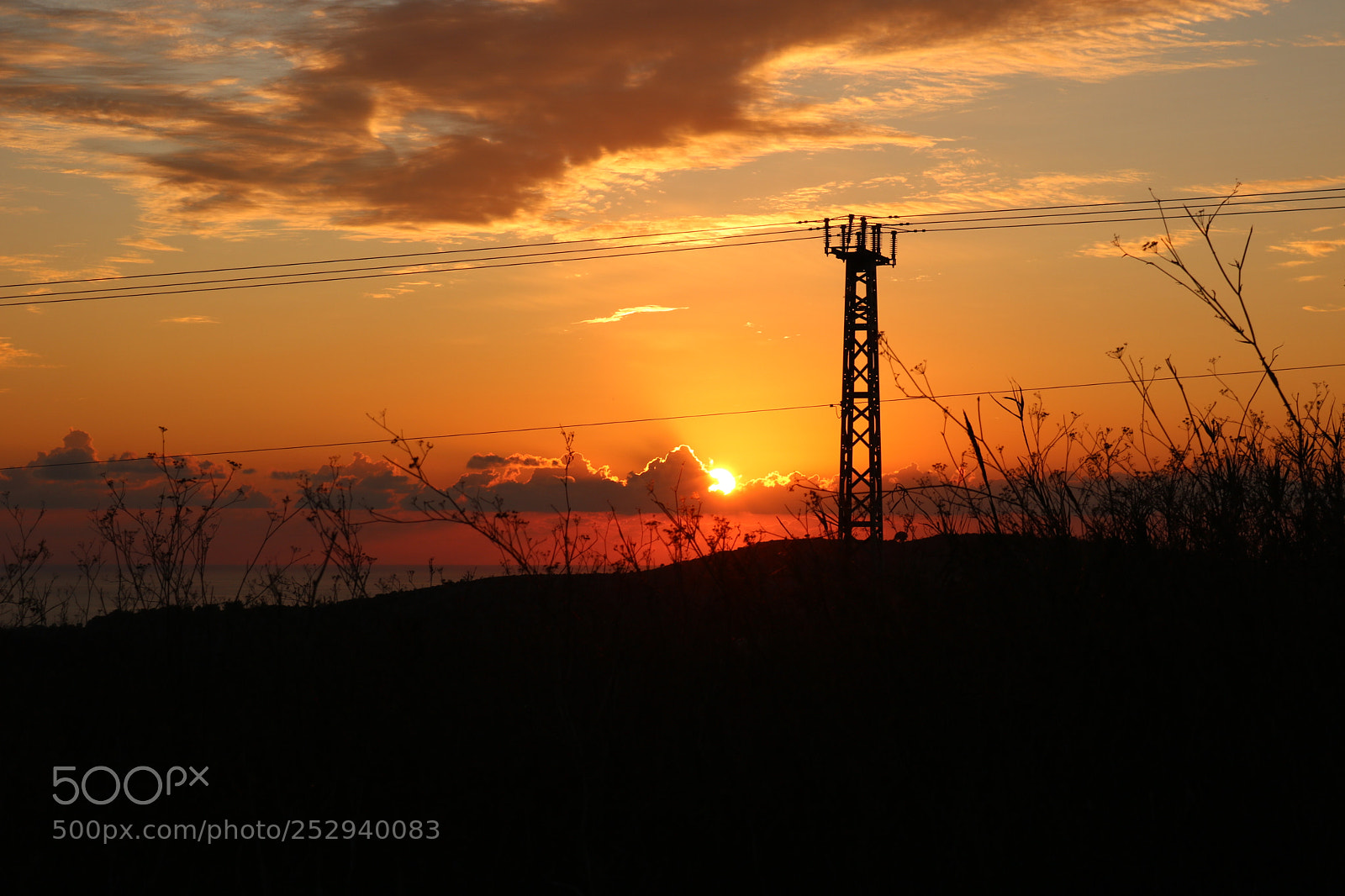 Canon EOS 750D (EOS Rebel T6i / EOS Kiss X8i) sample photo. Time for relaxation photography