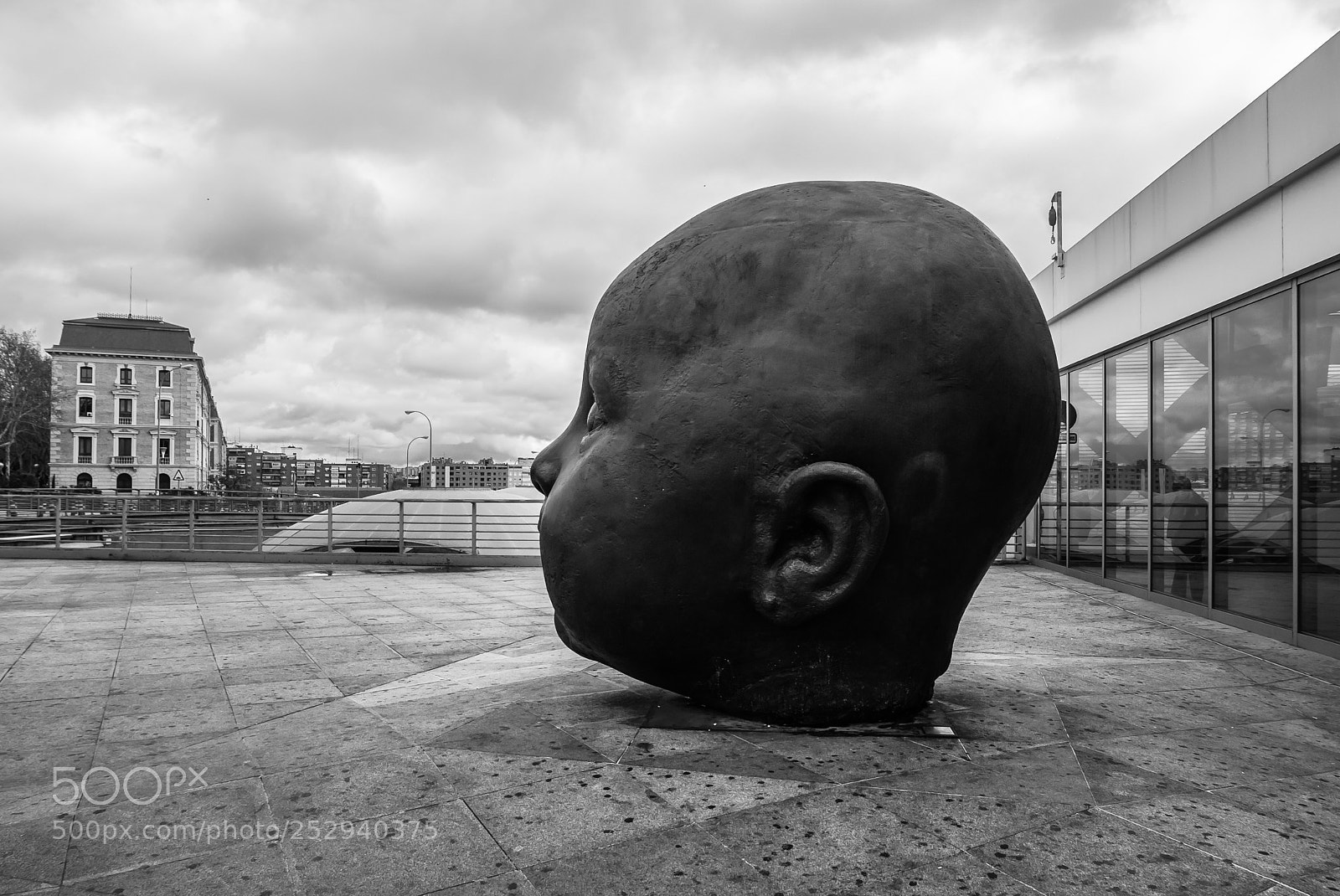 Panasonic Lumix DMC-LX100 sample photo. Big head ii... photography
