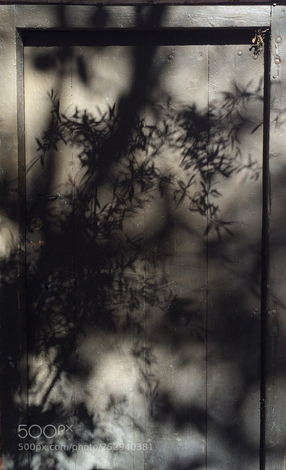 Apple iPhone 5s sample photo. Shadows 1 photography