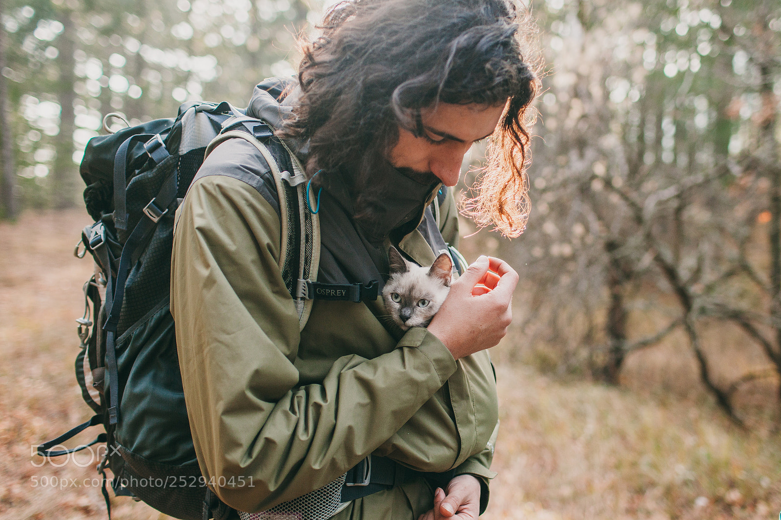 Canon EOS 5D Mark II sample photo. Camping with cats photography