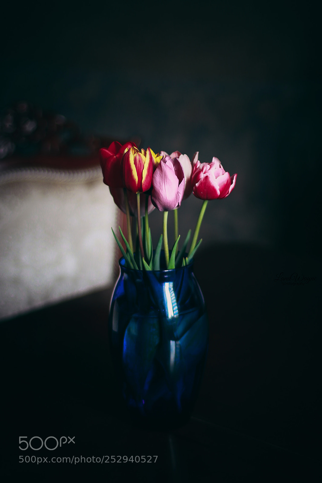 Canon EOS 7D Mark II sample photo. Tulips photography