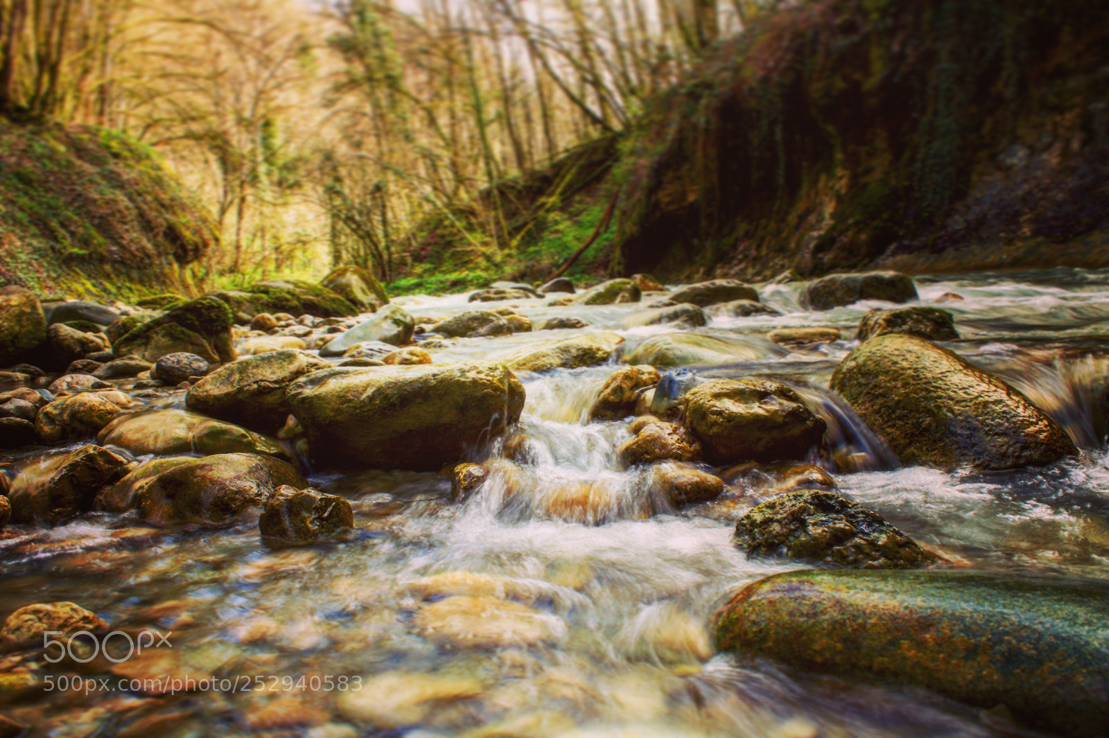 Canon EOS 1300D (EOS Rebel T6 / EOS Kiss X80) sample photo. ~ the magical brook  photography