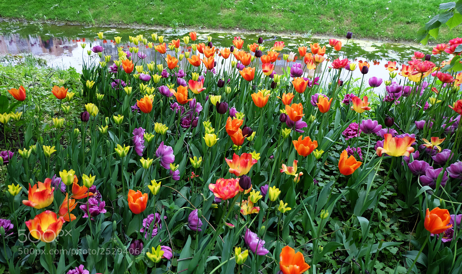 Fujifilm X-M1 sample photo. Spring photography