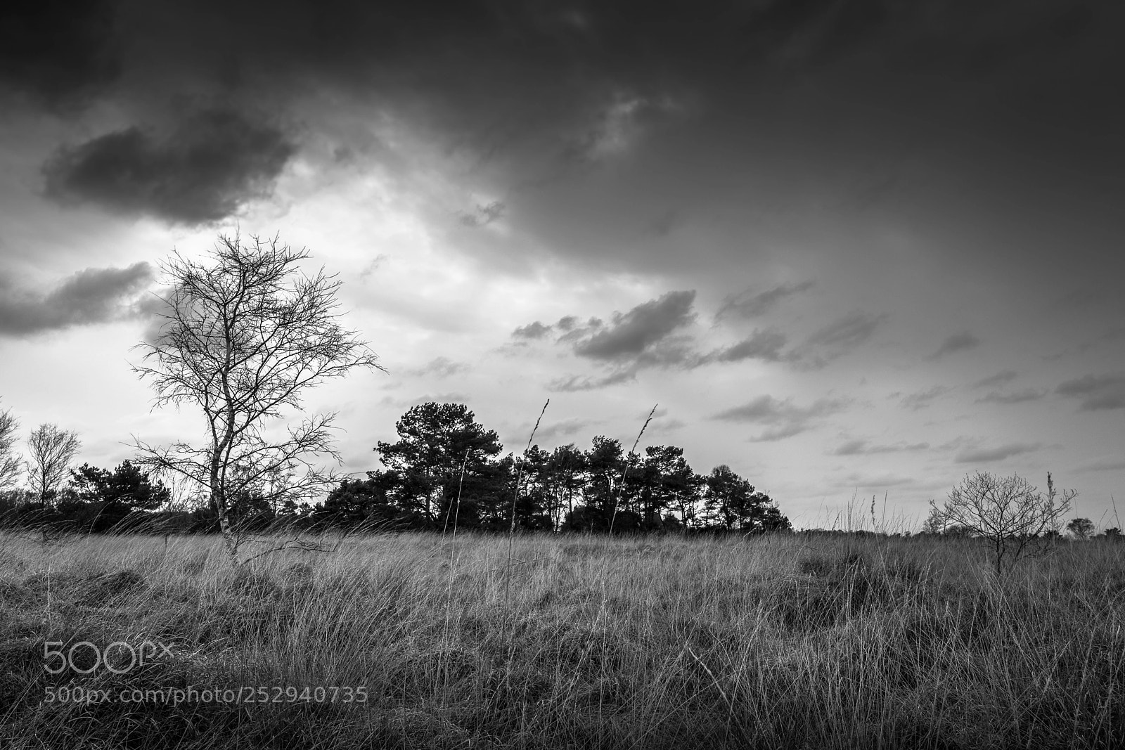 Sony a7 sample photo. Solitary photography