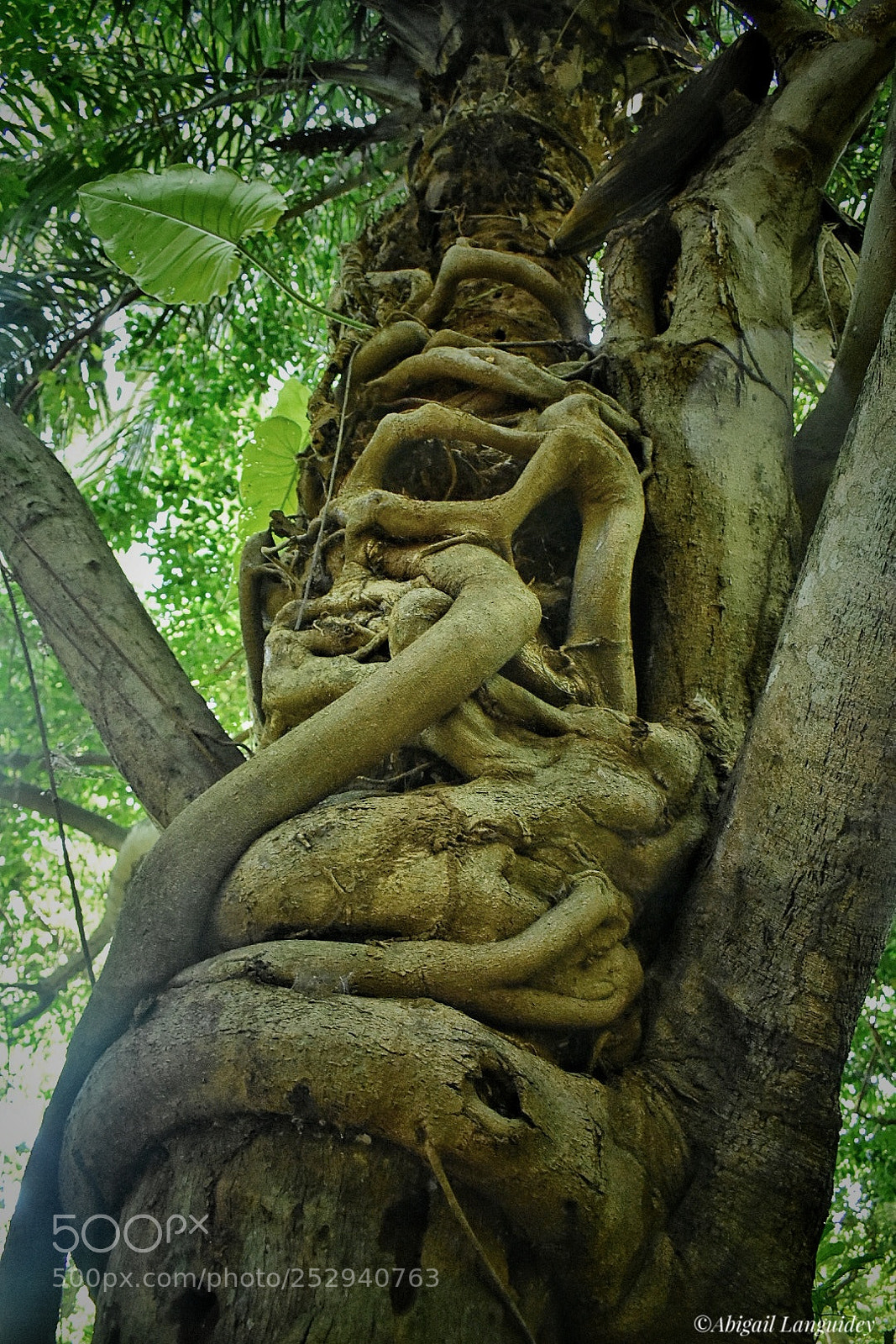 Nikon D3400 sample photo. Un abrazo de la photography