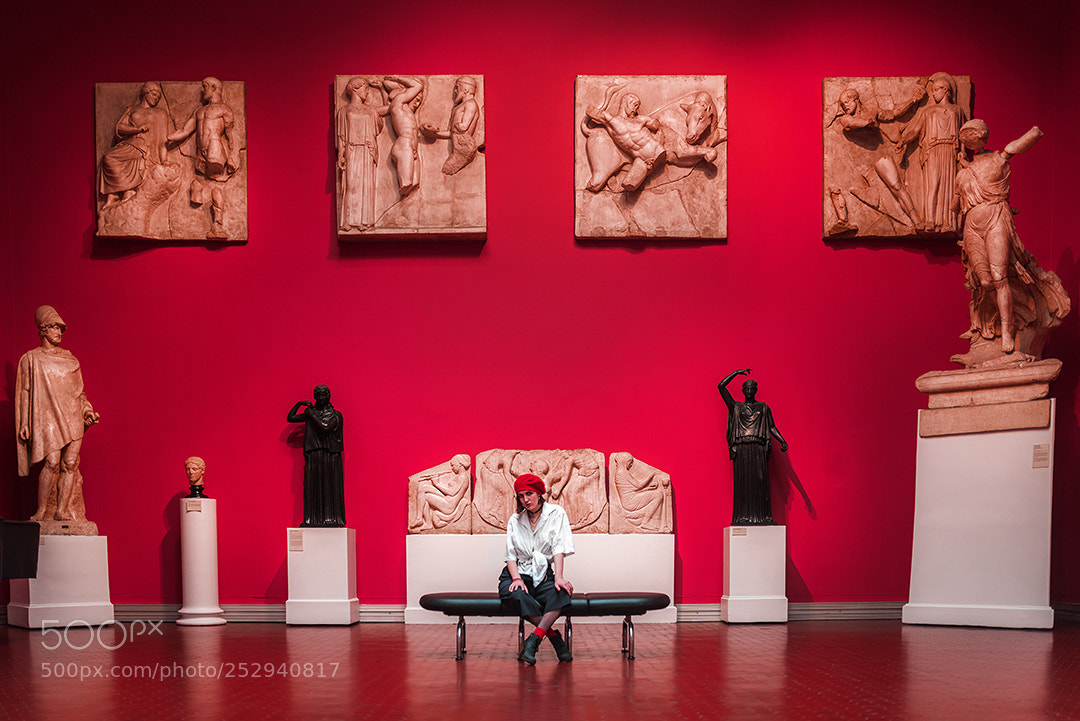 Nikon D810 sample photo. Le musée photography