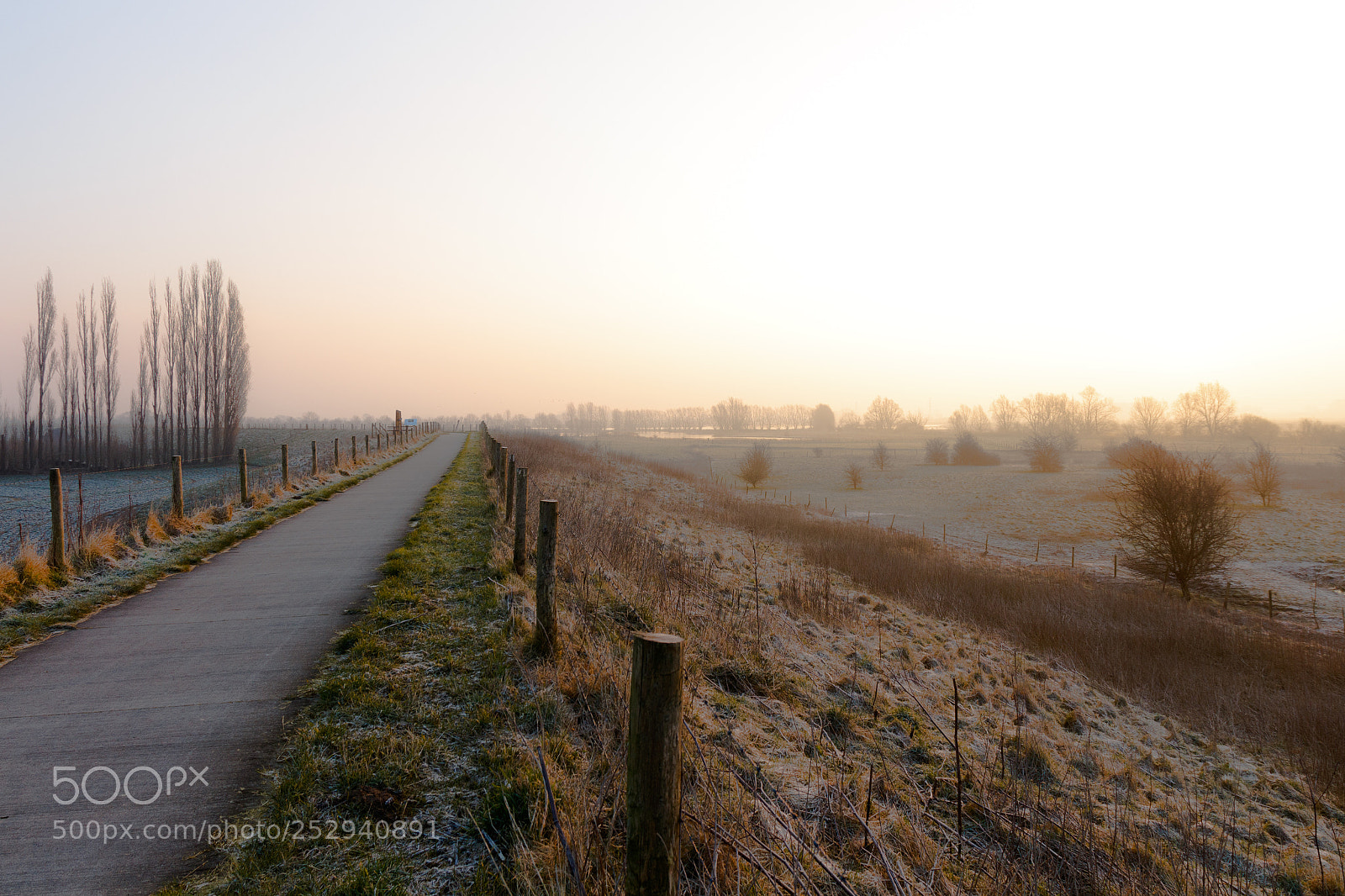 Canon EOS 700D (EOS Rebel T5i / EOS Kiss X7i) sample photo. Groessen photography