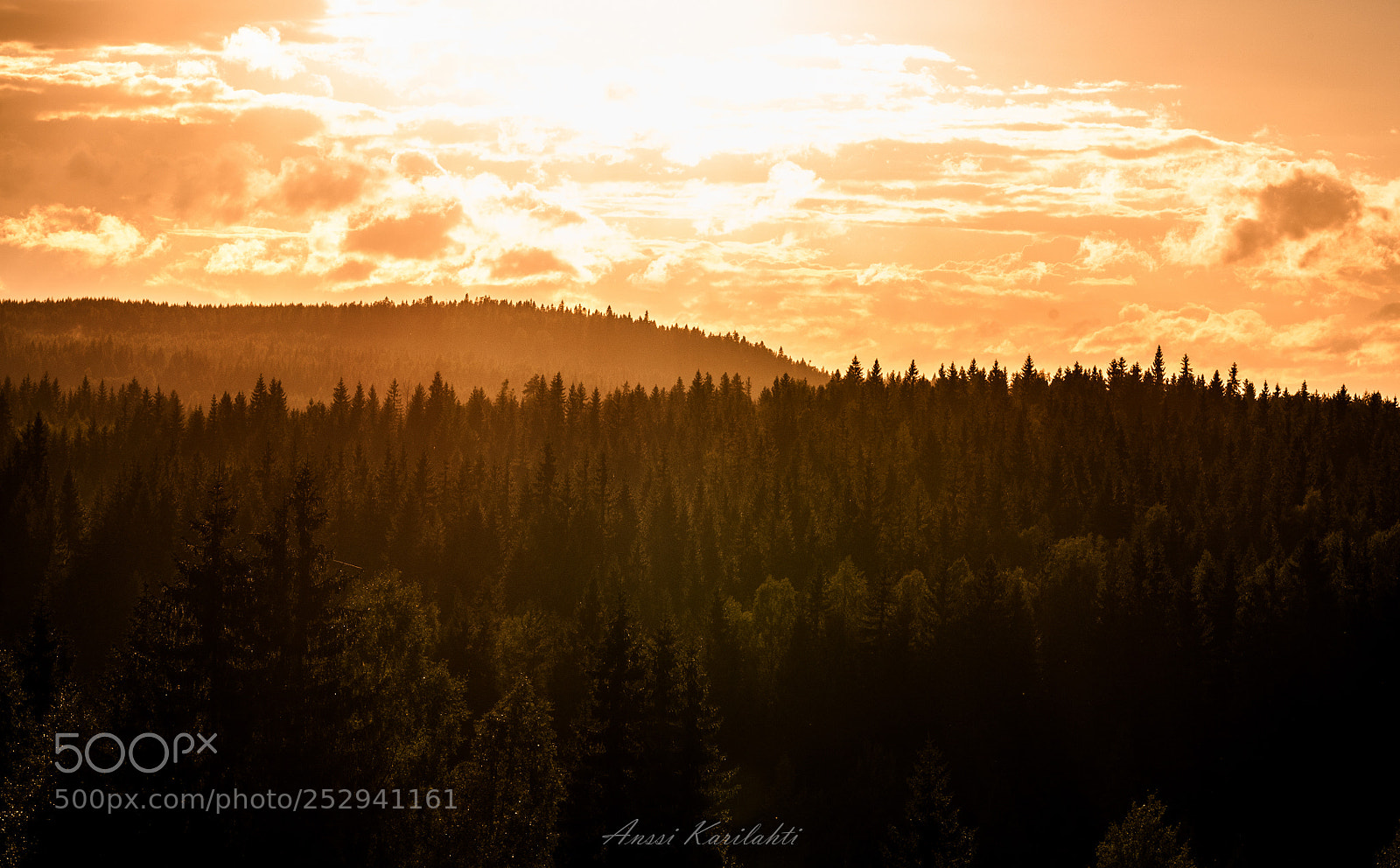 Nikon D300 sample photo. Sun over forest photography