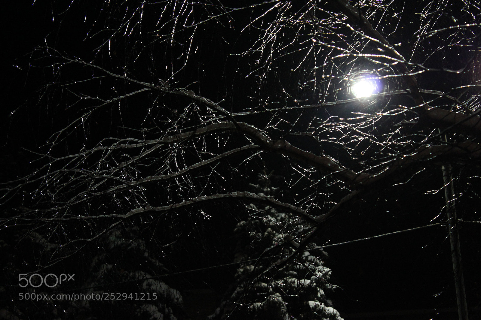 Canon EF-S 18-55mm F3.5-5.6 IS sample photo. Img photography