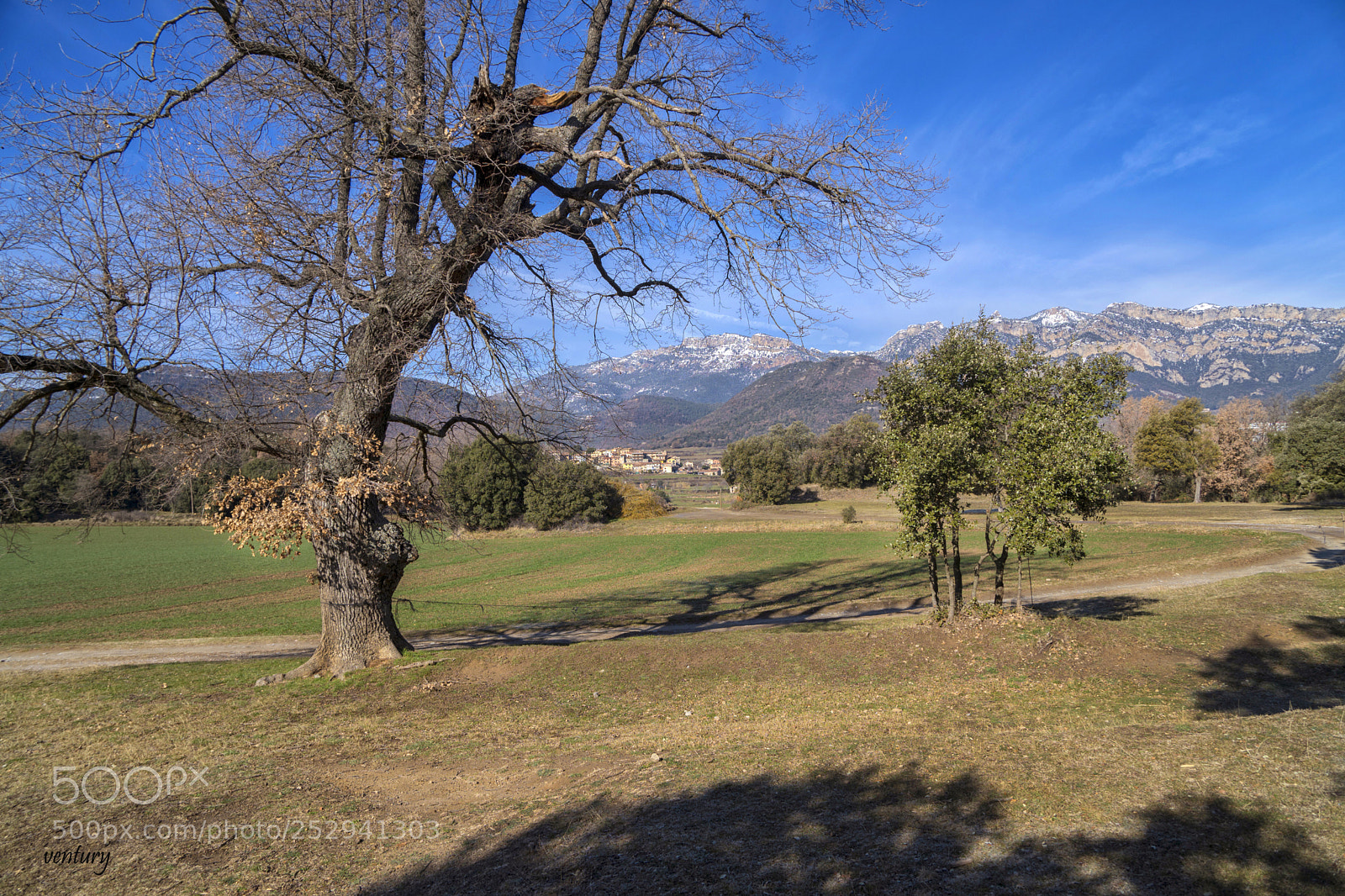 Sony a6500 sample photo. Landscape with tree photography