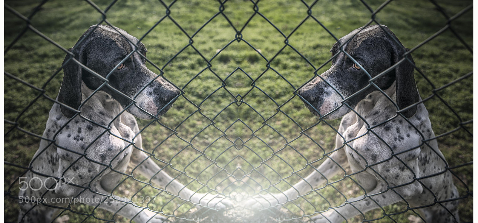 Nikon D800 sample photo. Max photography