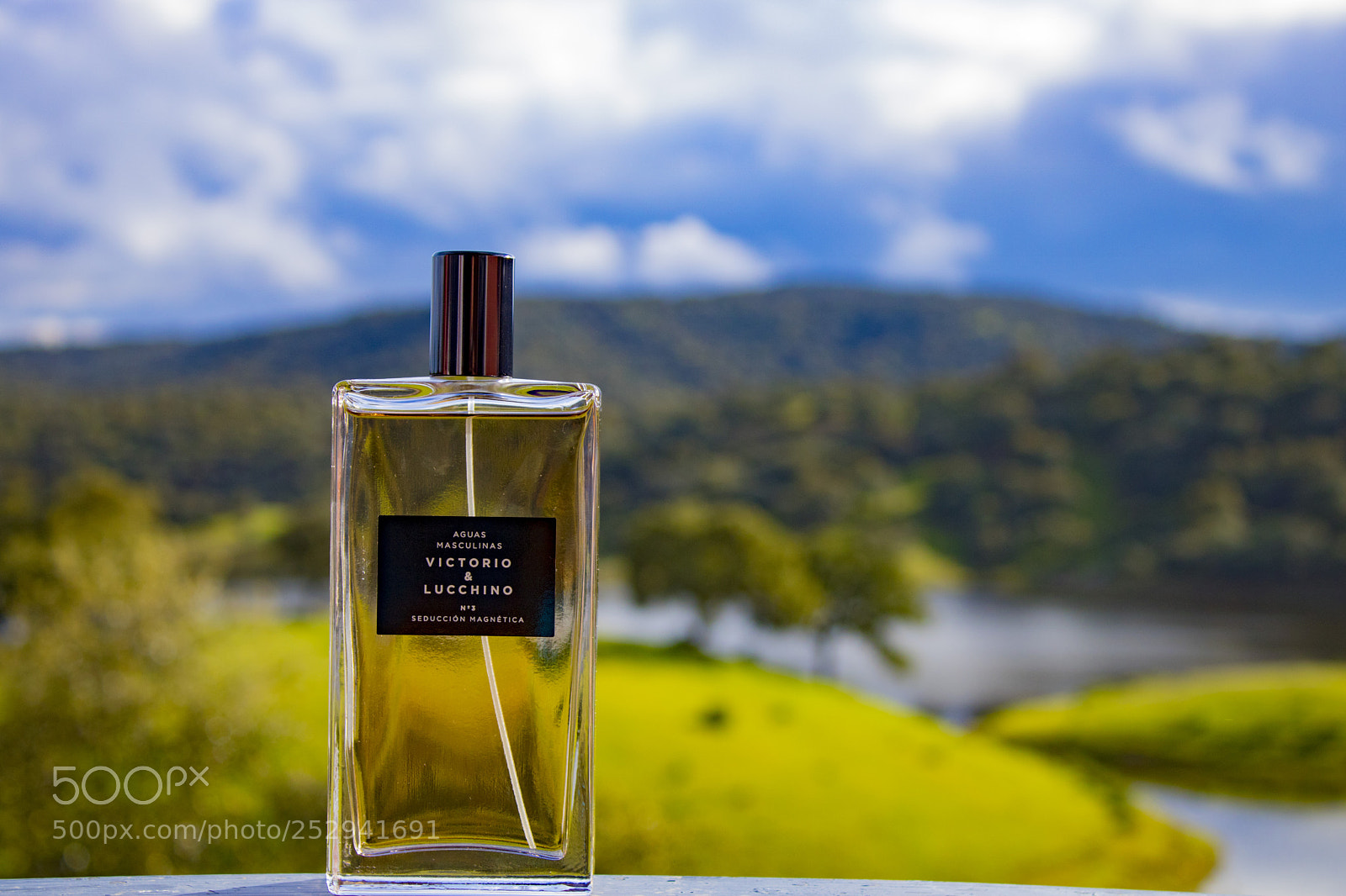 Canon EOS 750D (EOS Rebel T6i / EOS Kiss X8i) sample photo. Victorio & lucchino photography