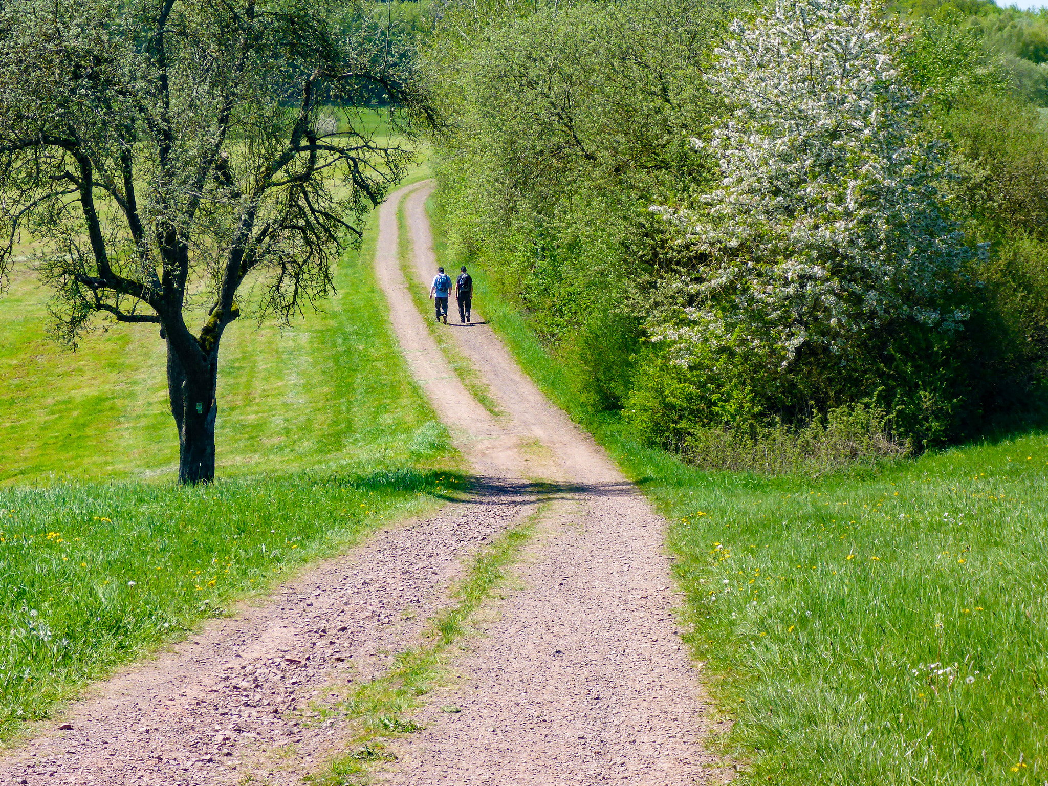 Panasonic Lumix DMC-TS5 (Lumix DMC-FT5) sample photo. Wandergesellen photography