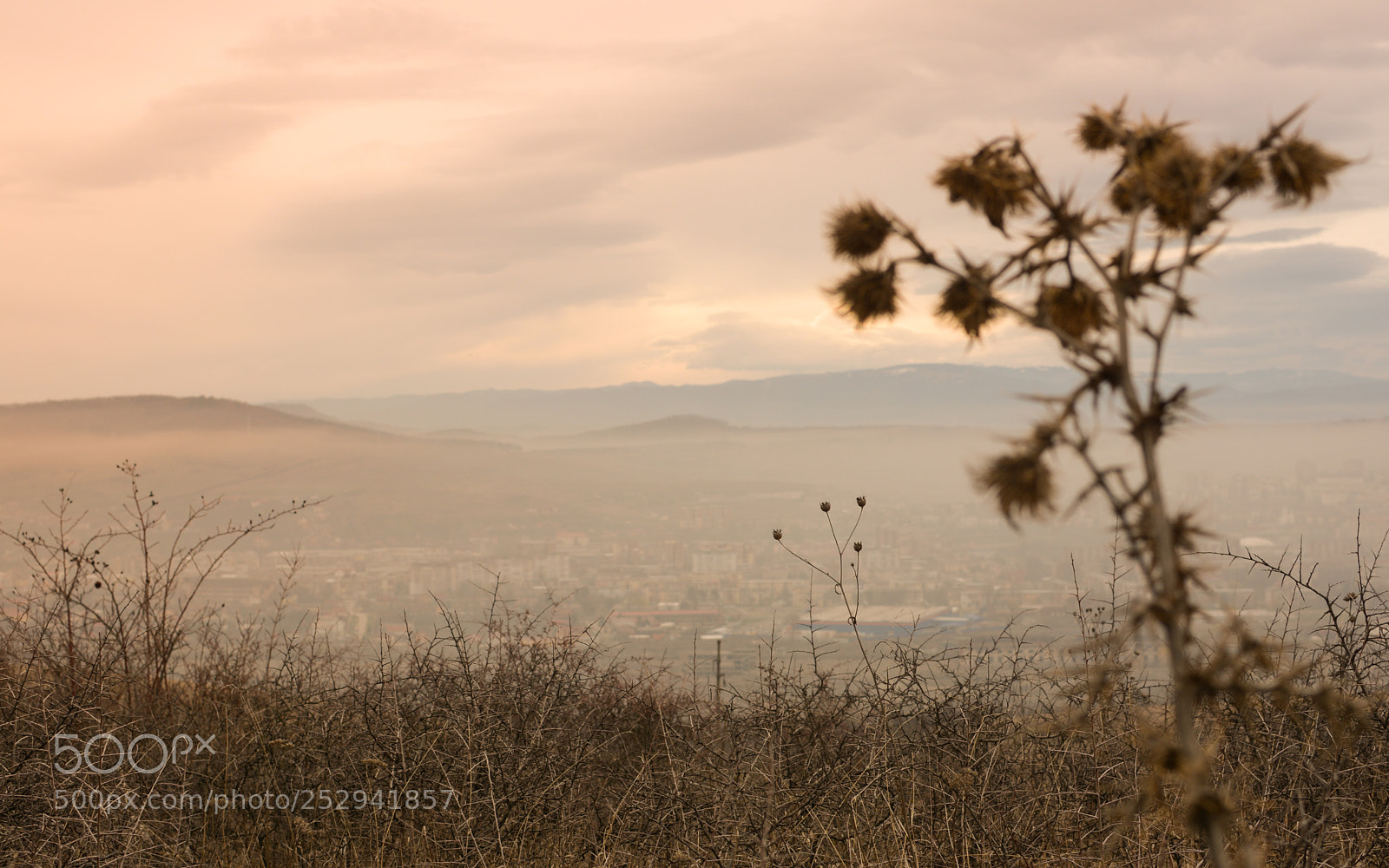Nikon D7100 sample photo. Dead city photography