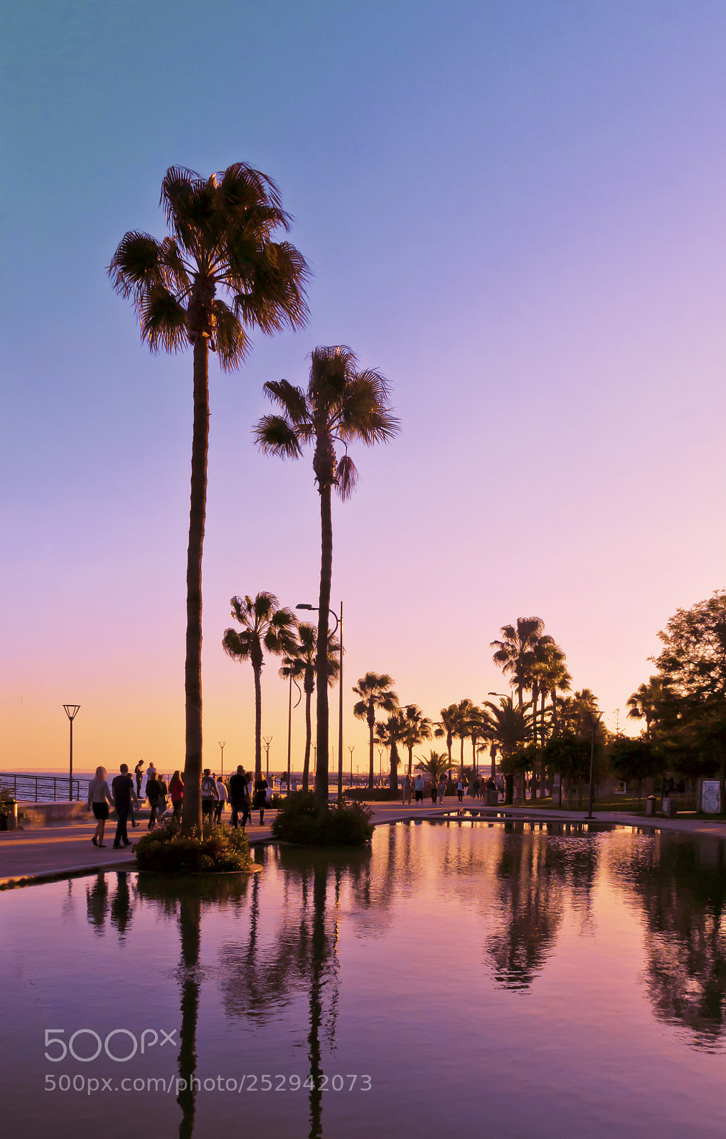 Nikon D3100 sample photo. Palm sunset photography
