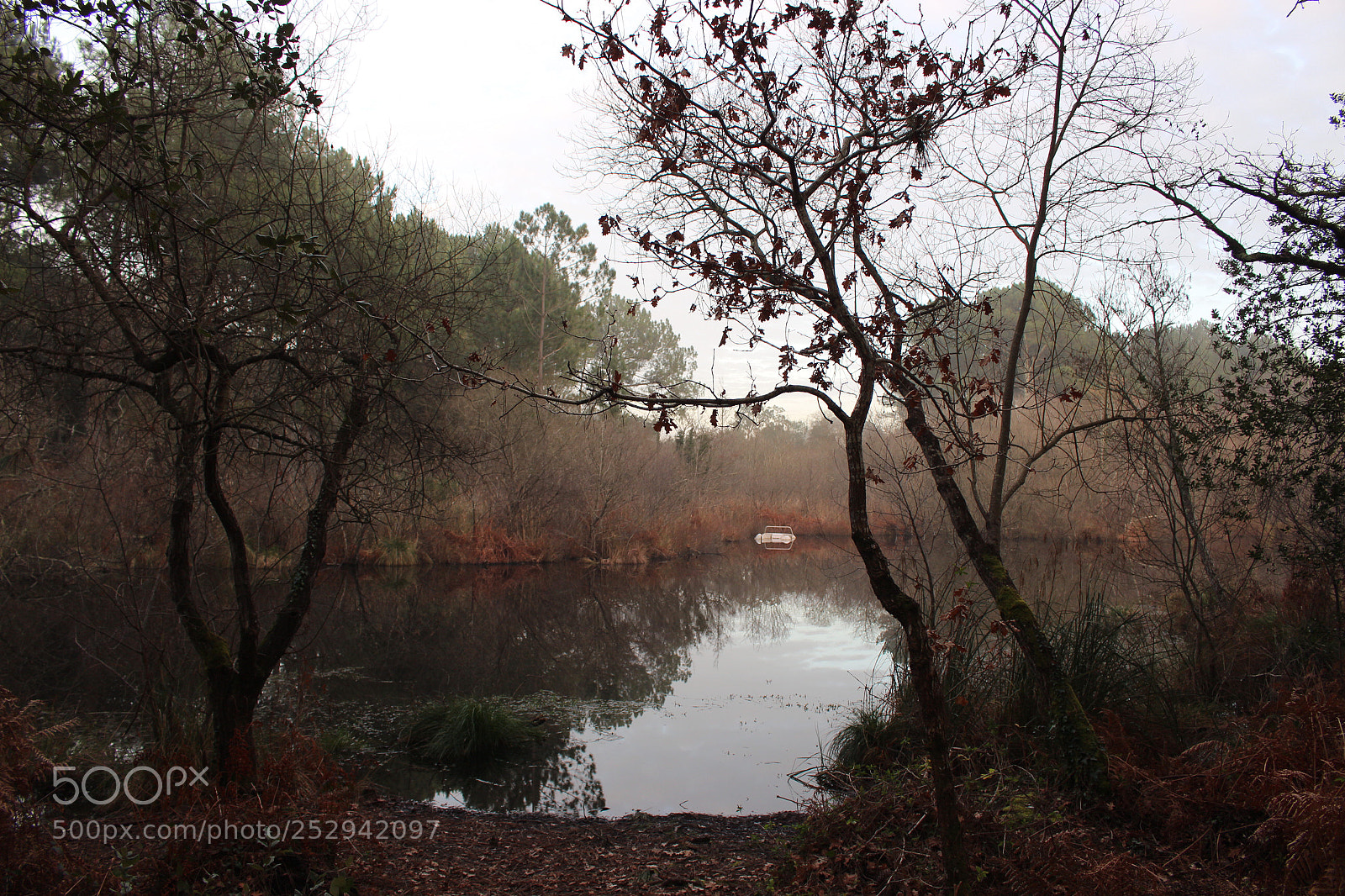 Canon EOS 100D (EOS Rebel SL1 / EOS Kiss X7) sample photo. Pond photography