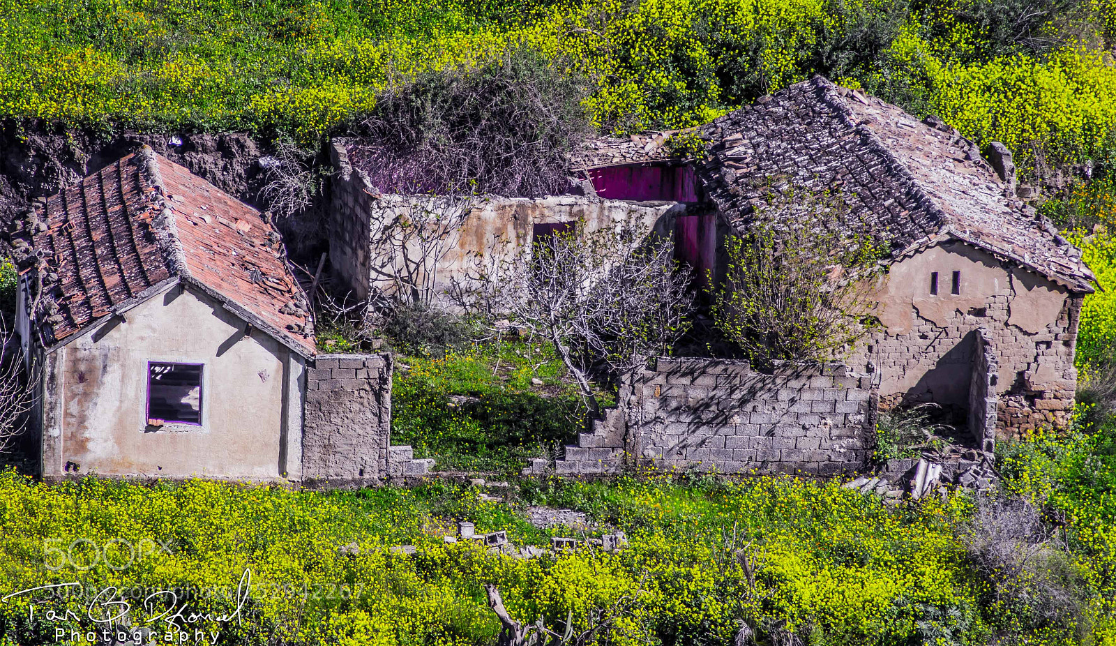 Canon EOS 700D (EOS Rebel T5i / EOS Kiss X7i) sample photo. Abandoned photography