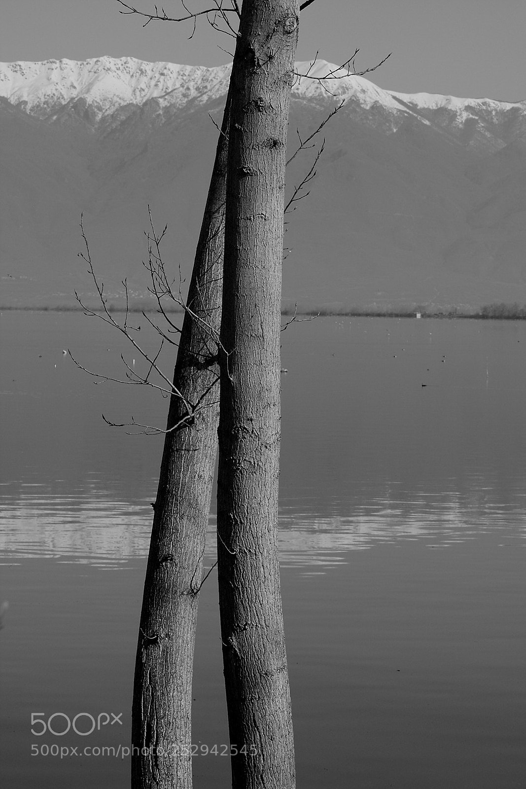 Canon EOS 40D sample photo. Intercourse ll photography