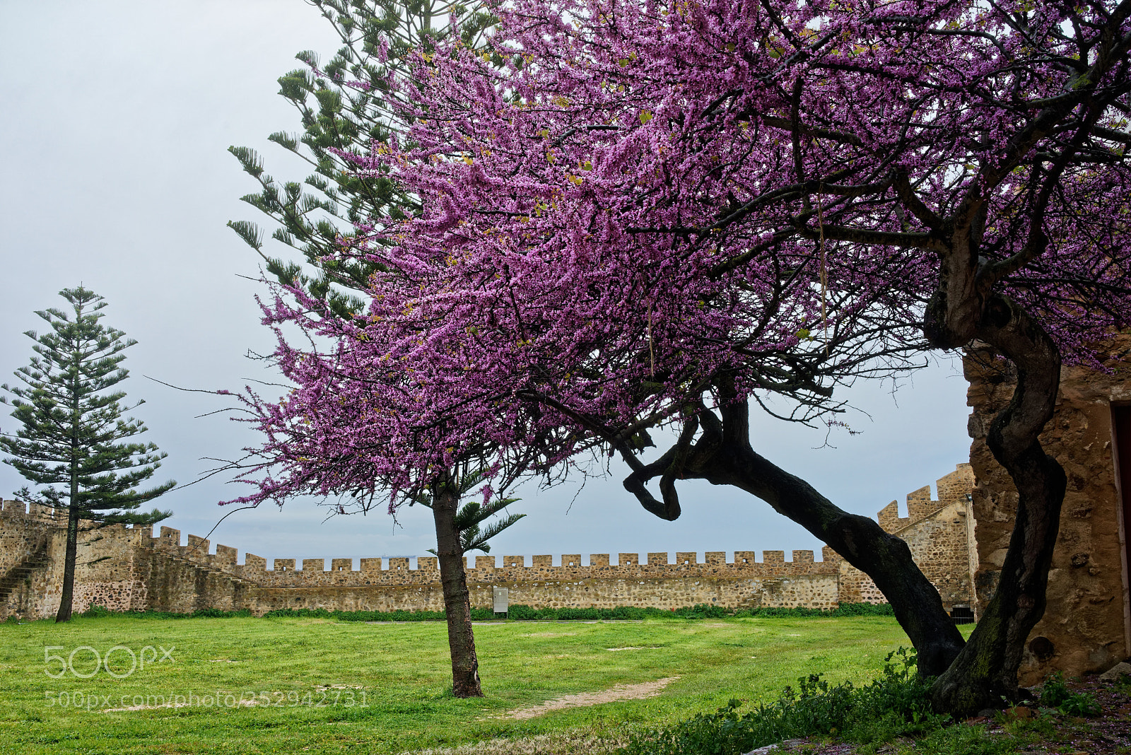 Sony a7R sample photo. Sines fortress photography
