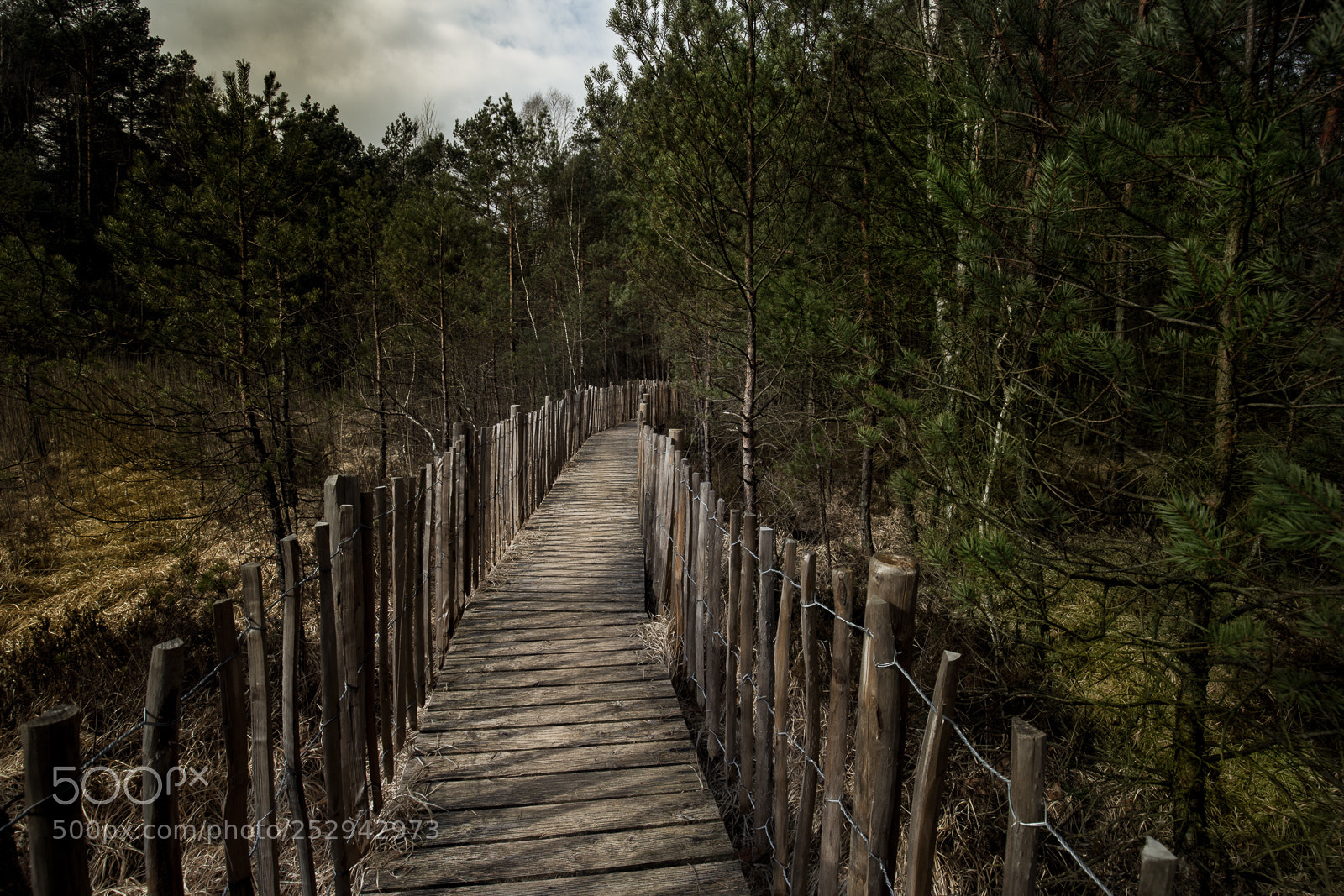 Canon EOS 5D Mark II sample photo. Wooden path photography