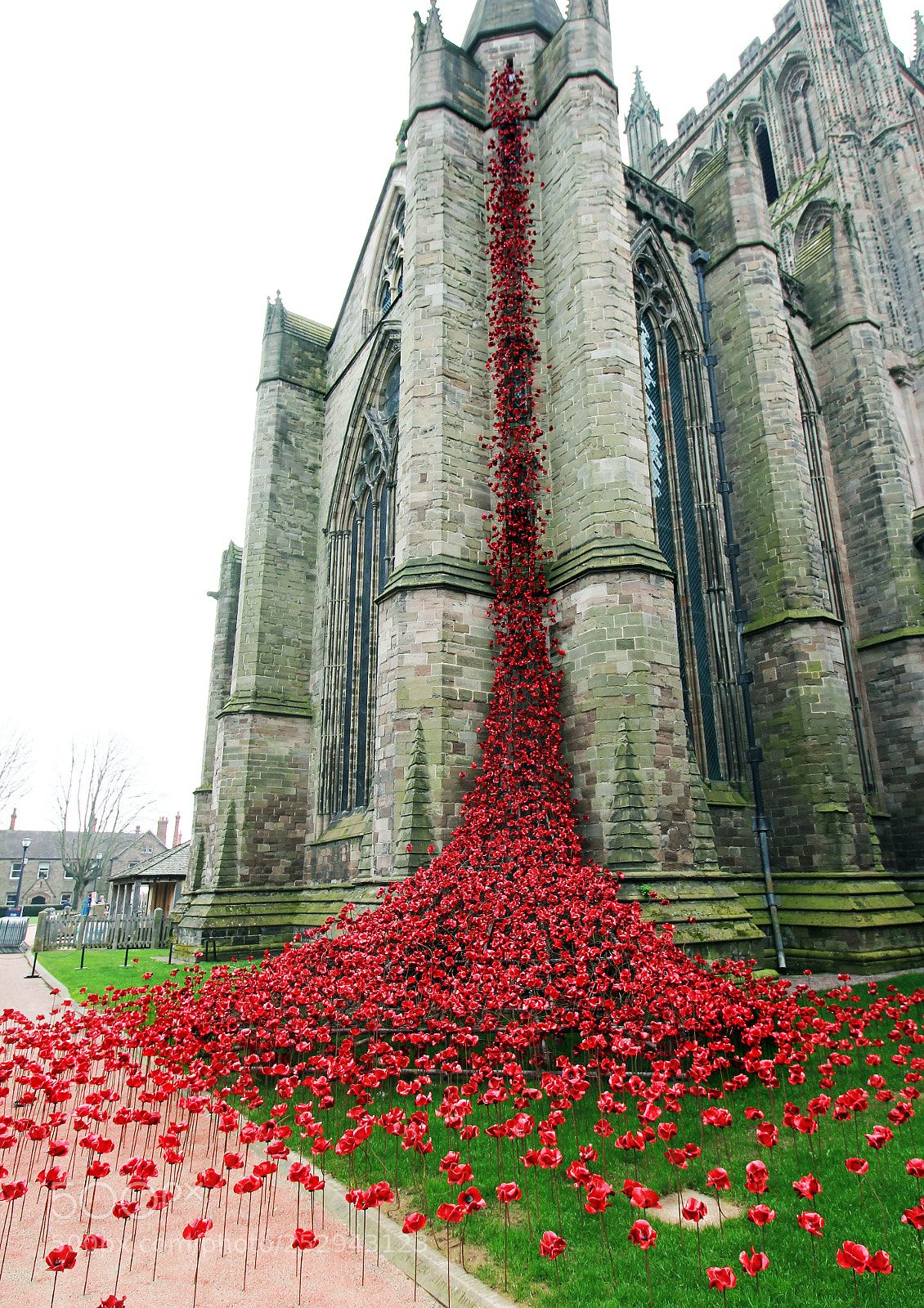 Canon EOS 550D (EOS Rebel T2i / EOS Kiss X4) sample photo. Weeping window photography