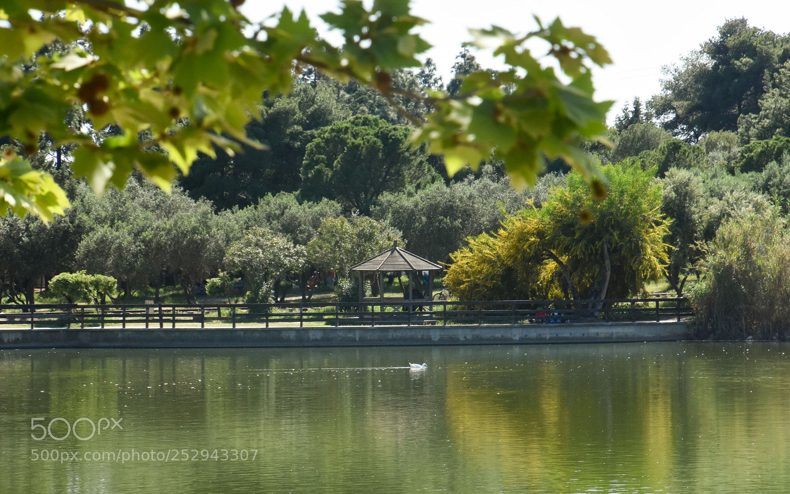 Nikon D7200 sample photo. 'antonis tritsis' metropolitan park photography