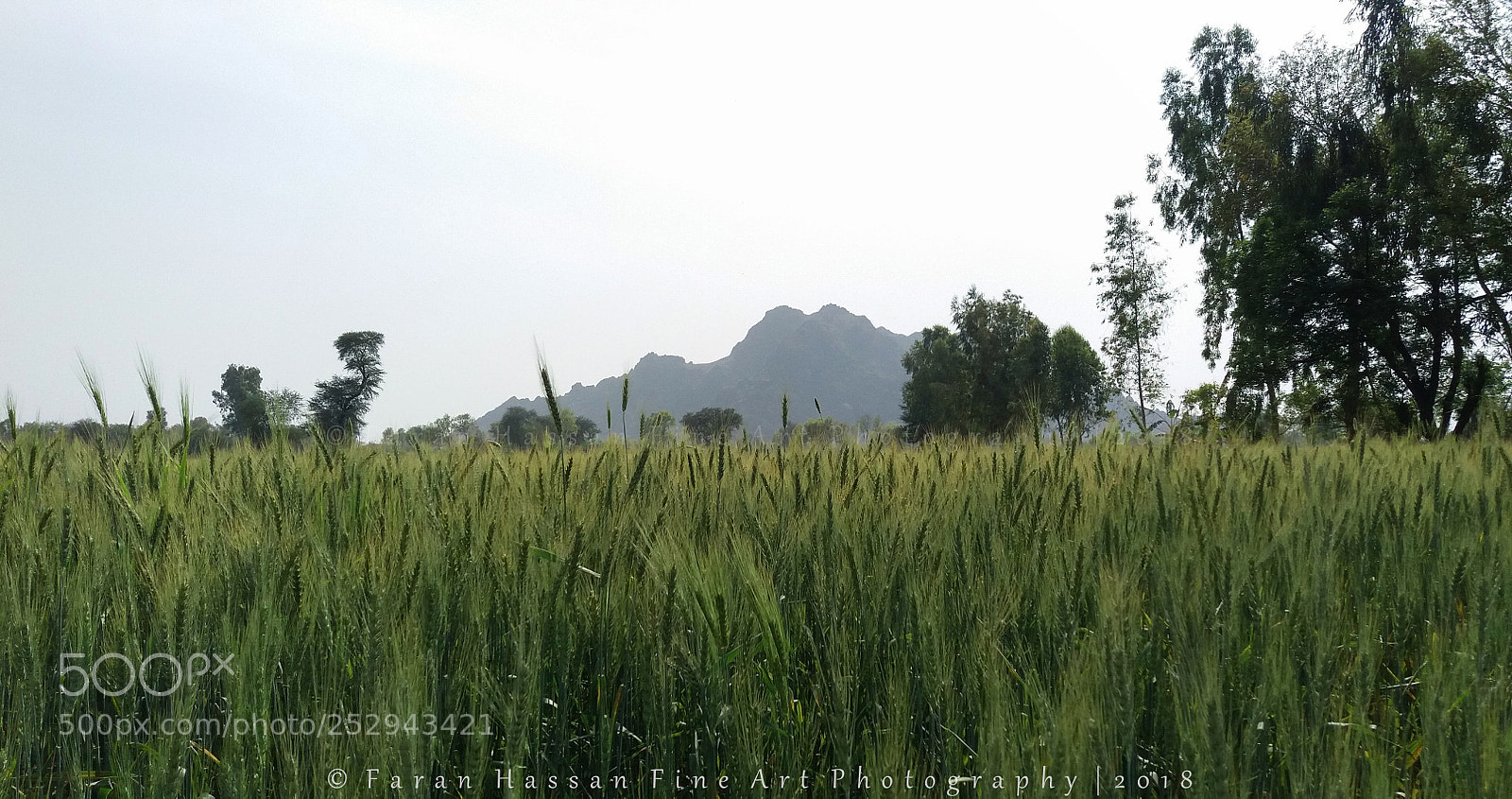 Samsung Galaxy J5 sample photo. Beauty behind the fields photography
