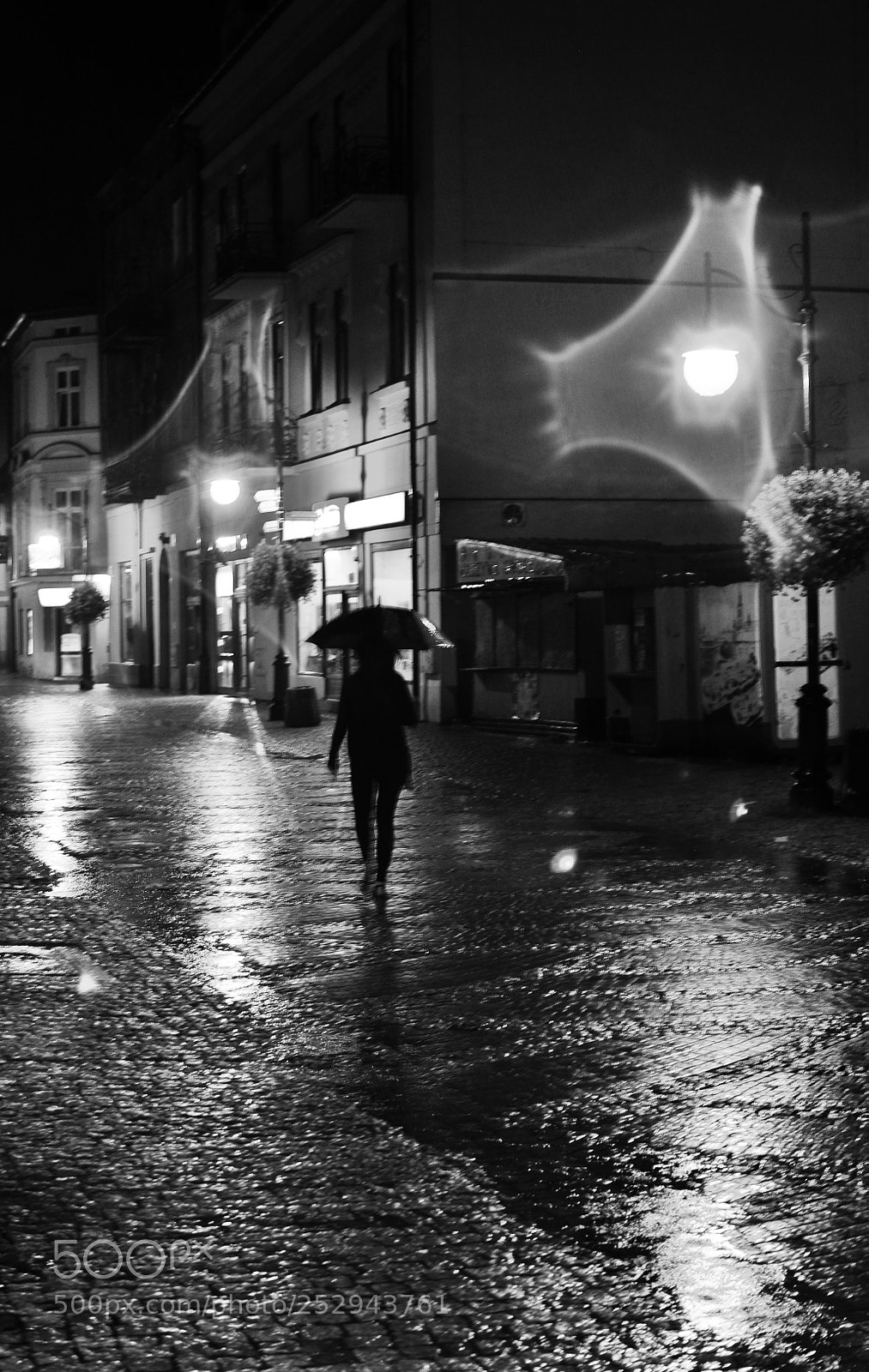 Nikon D90 sample photo. Lonely under the rain photography