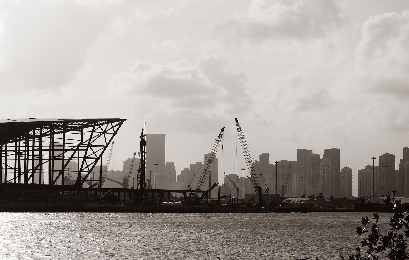 Olympus OM-D E-M10 sample photo. Miami skyline  photography