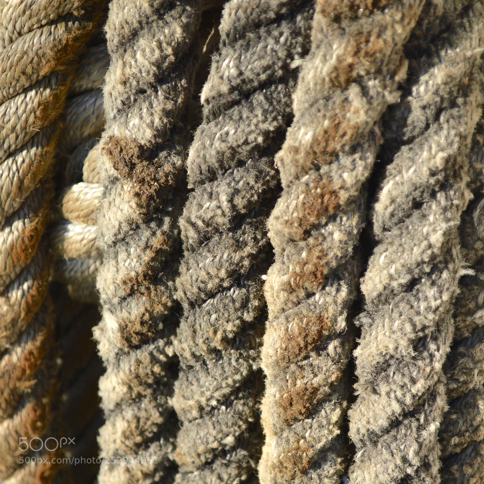 Nikon D3200 sample photo. Rope photography