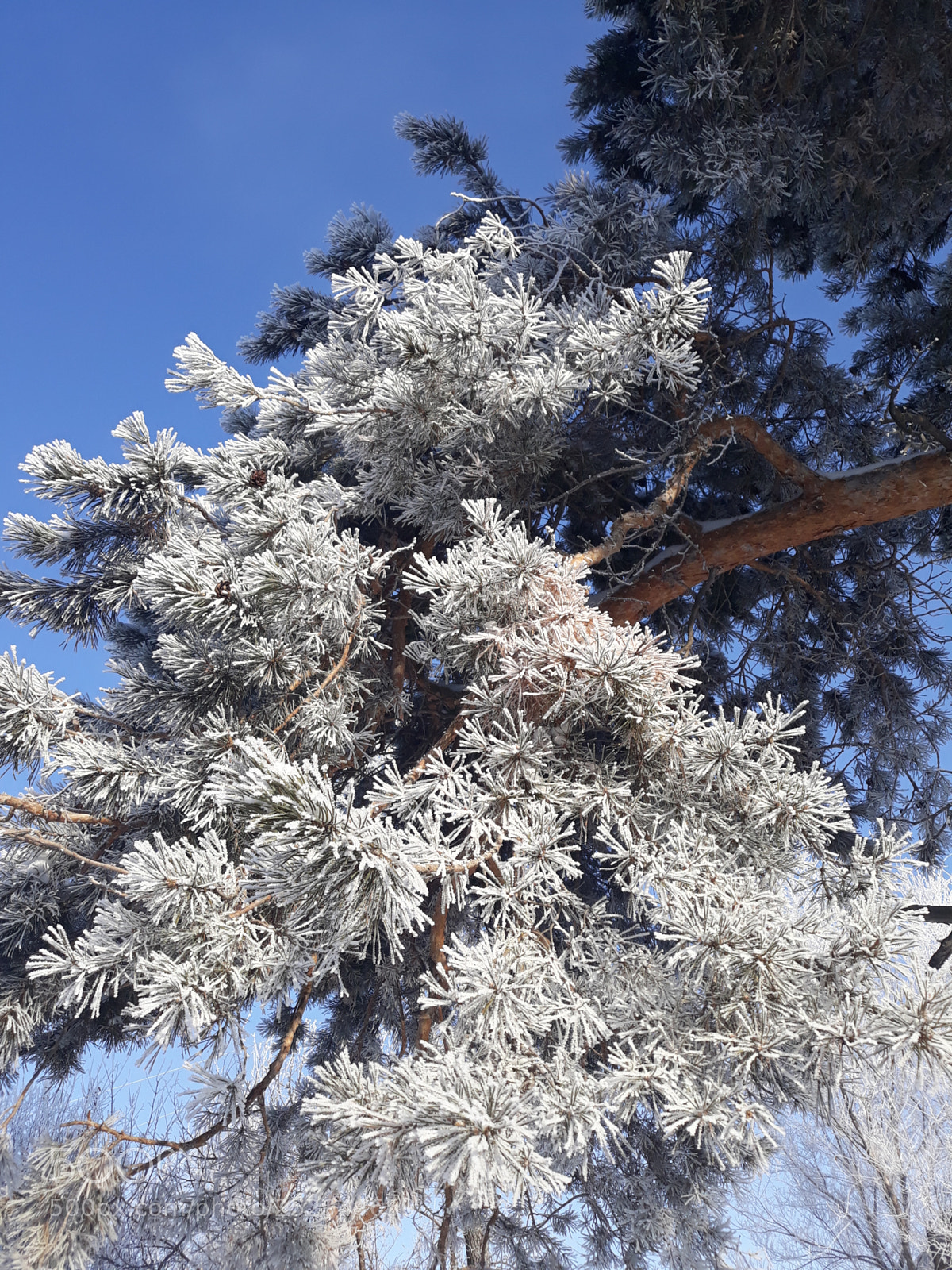 Samsung Galaxy J7 sample photo. 20180119_133601.jpg photography