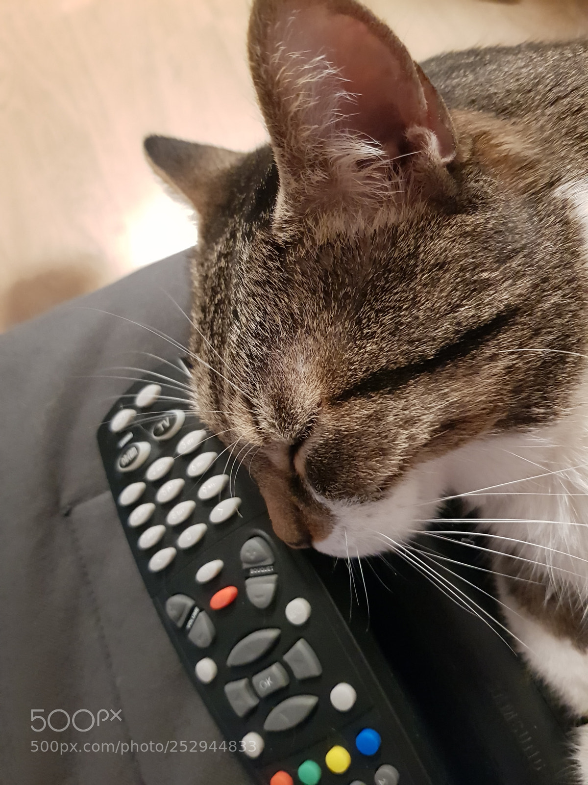 Samsung Galaxy S8 sample photo. Too tired to click photography