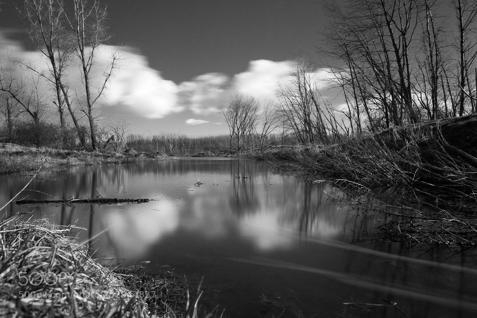 Canon EOS 60D sample photo. Reflection photography