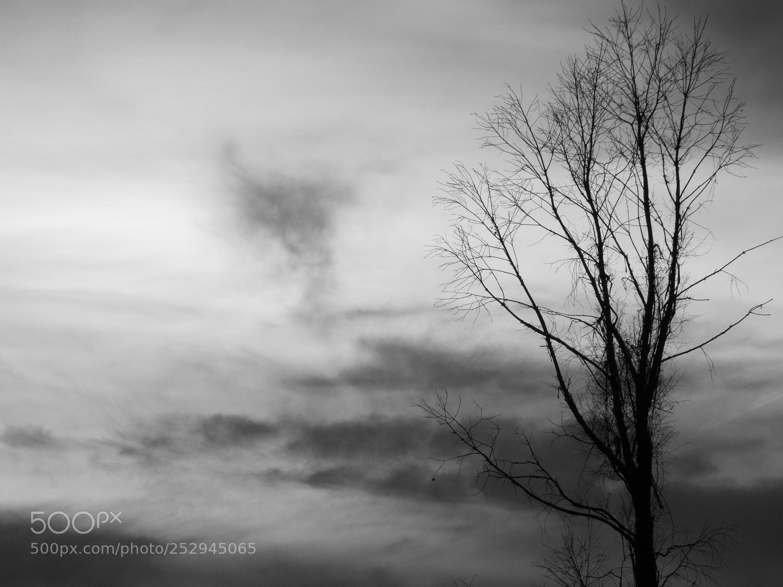 Panasonic DMC-FZ72 sample photo. Lonely tree photography