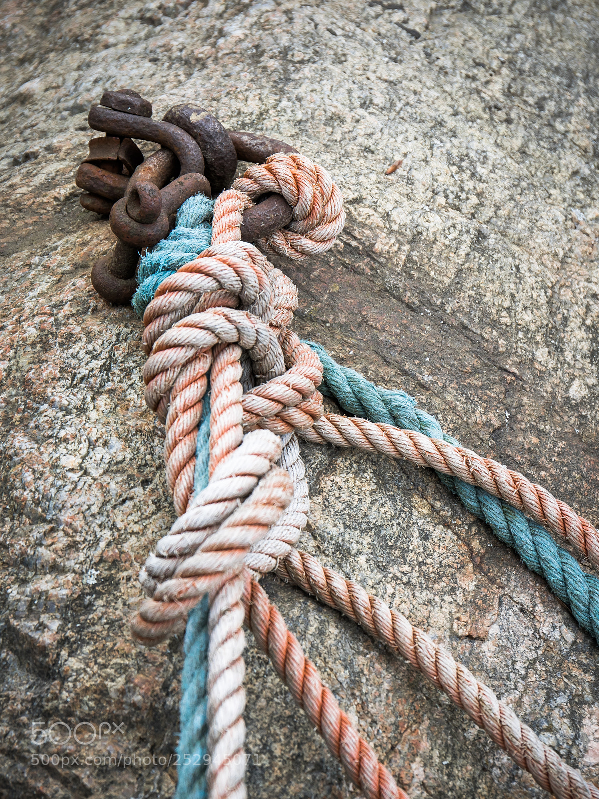 Canon EOS 5D Mark IV sample photo. Rope photography