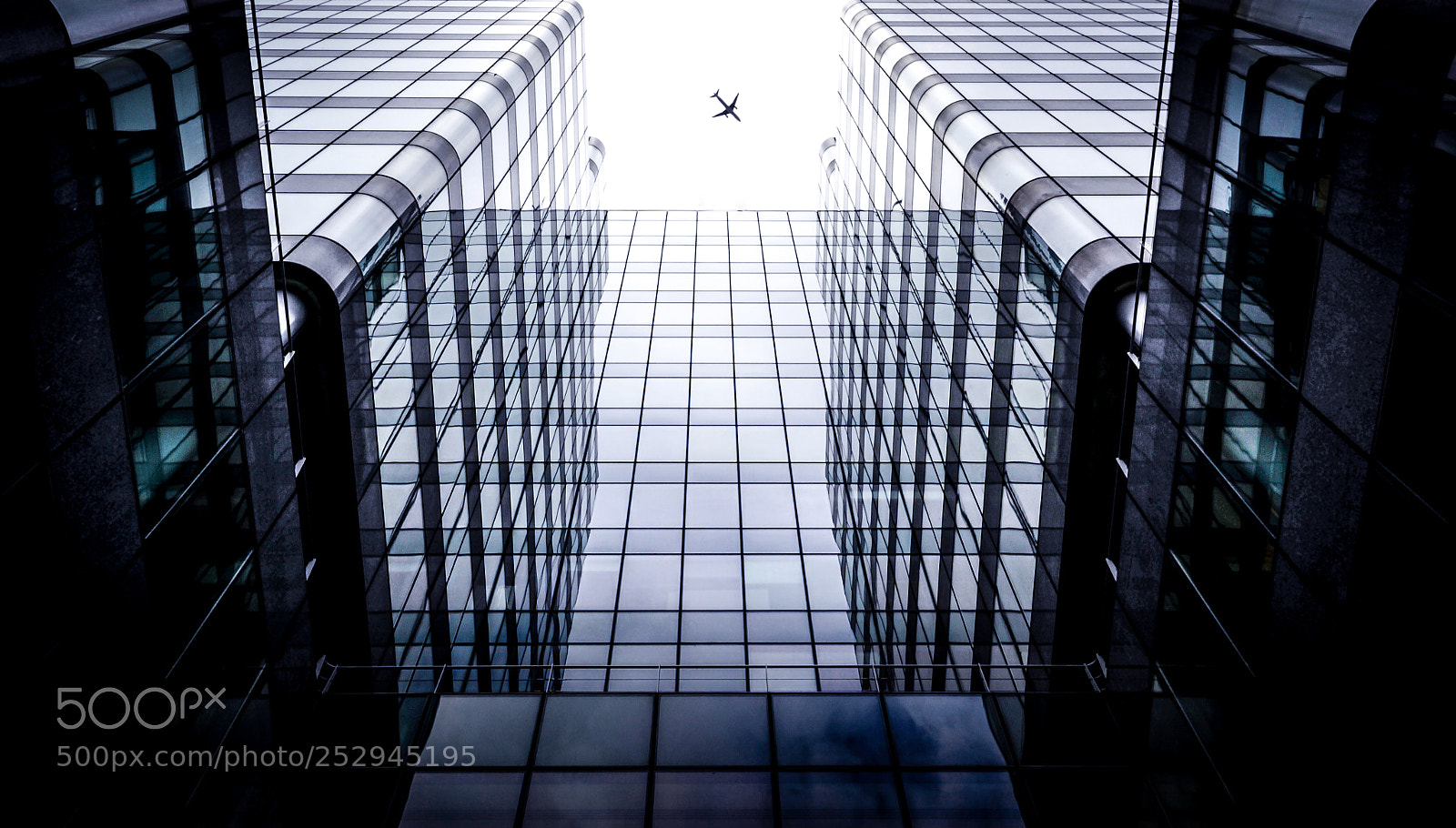Canon EOS 5D Mark II sample photo. Fly away photography