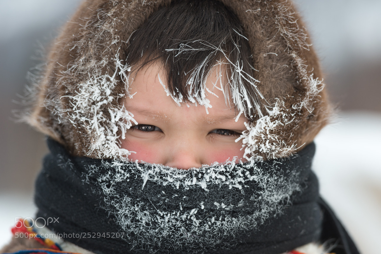 Nikon D800 sample photo. Frosty day photography