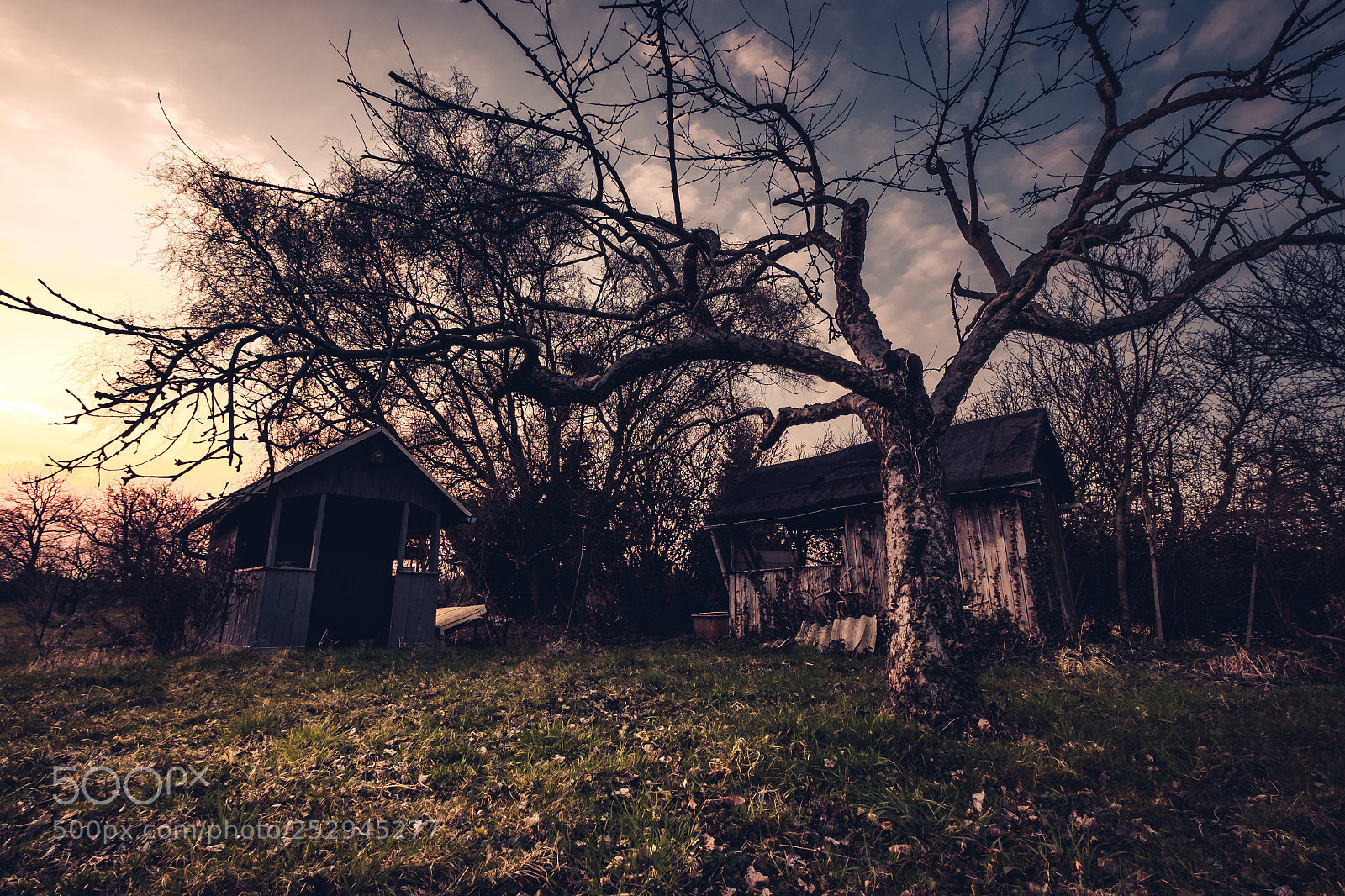 Fujifilm X-T1 sample photo. Http://weinheim.photos photography