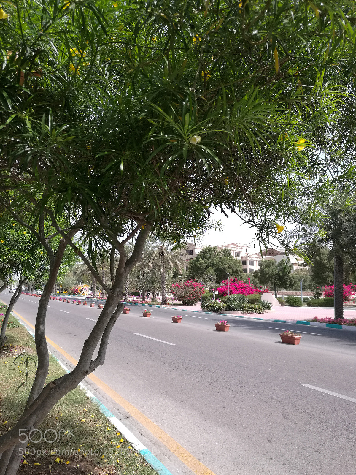 HUAWEI Mate 8 sample photo. Island kish 3 photography